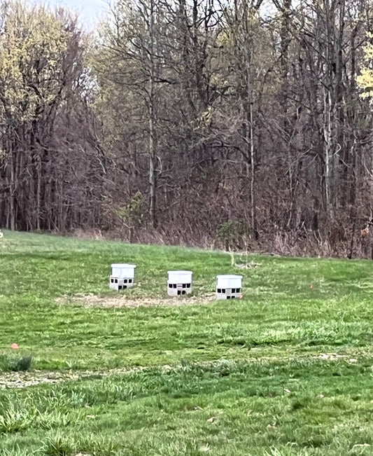 Hive Prep!