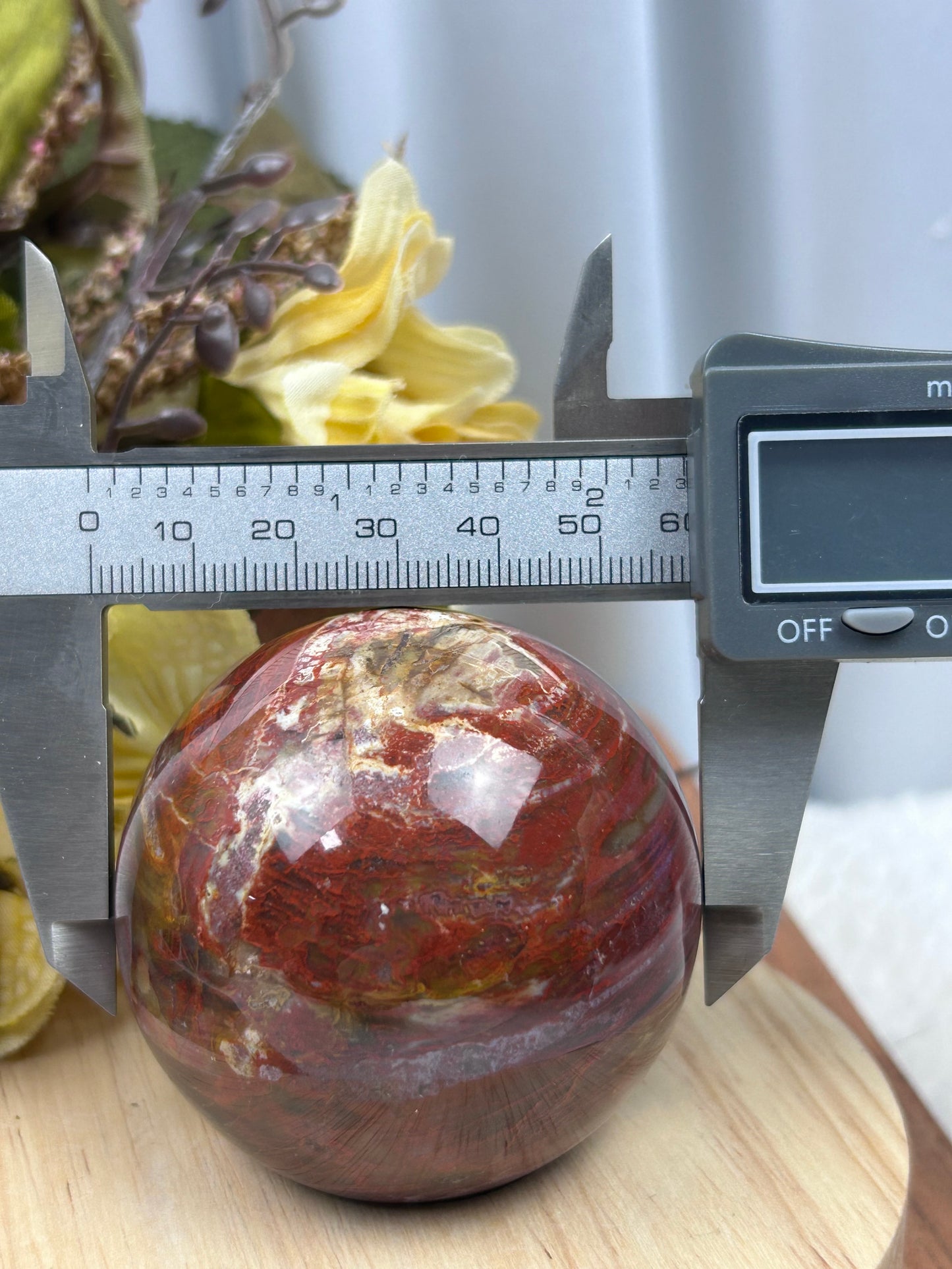 Petrified Wood Sphere