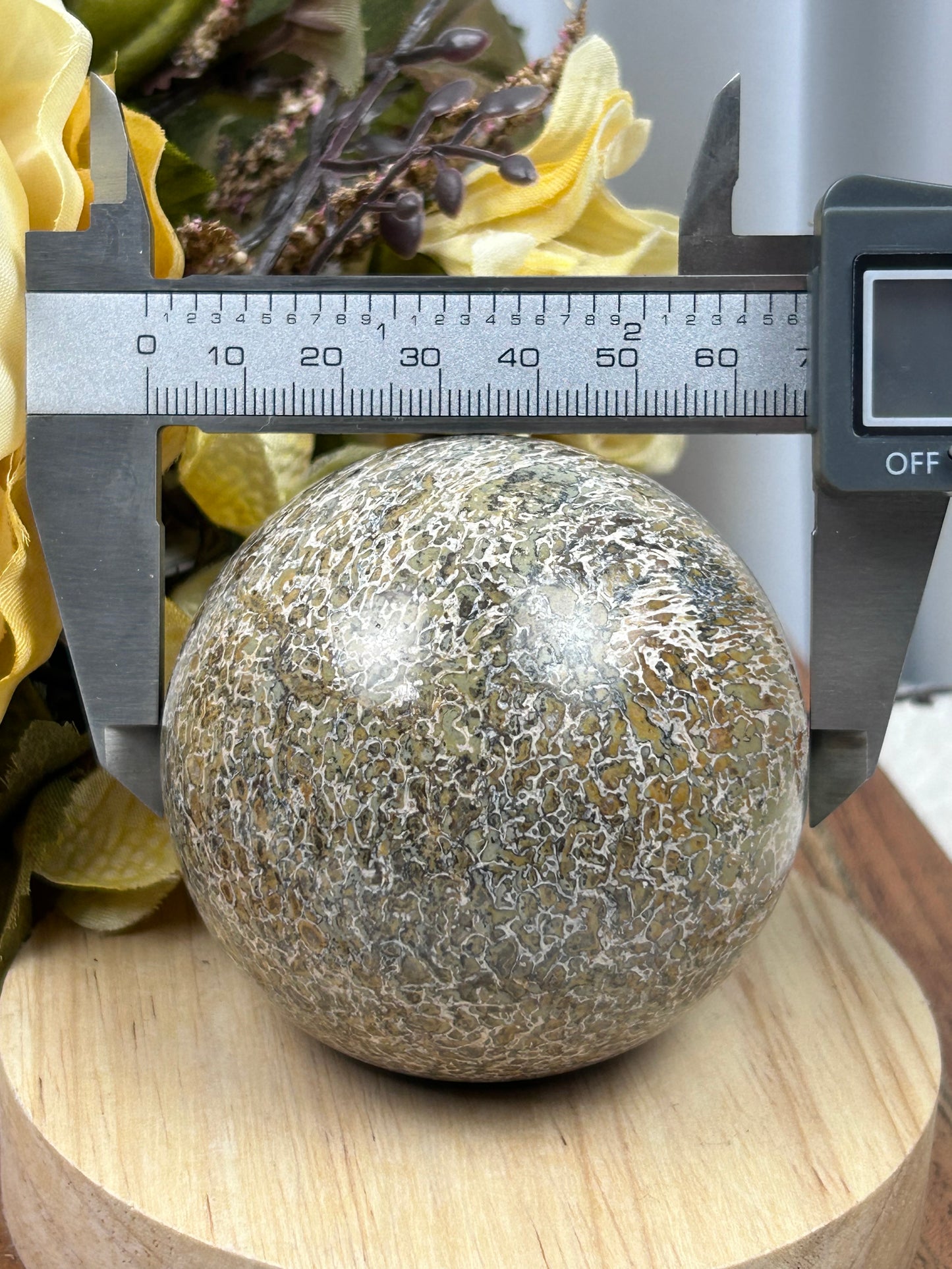 Dinosaur Bone Fossil Sphere