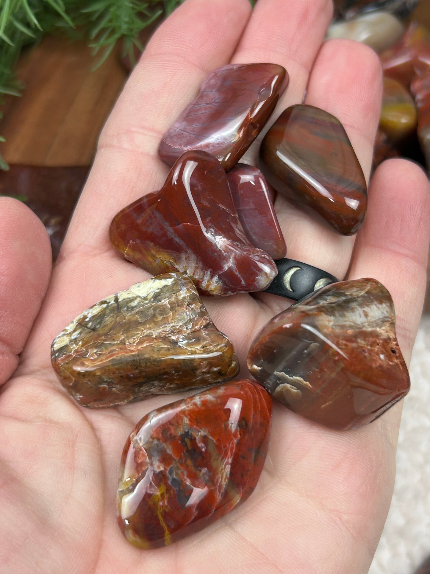 One (1) Petrified Wood Tumble - Intuitively Chosen