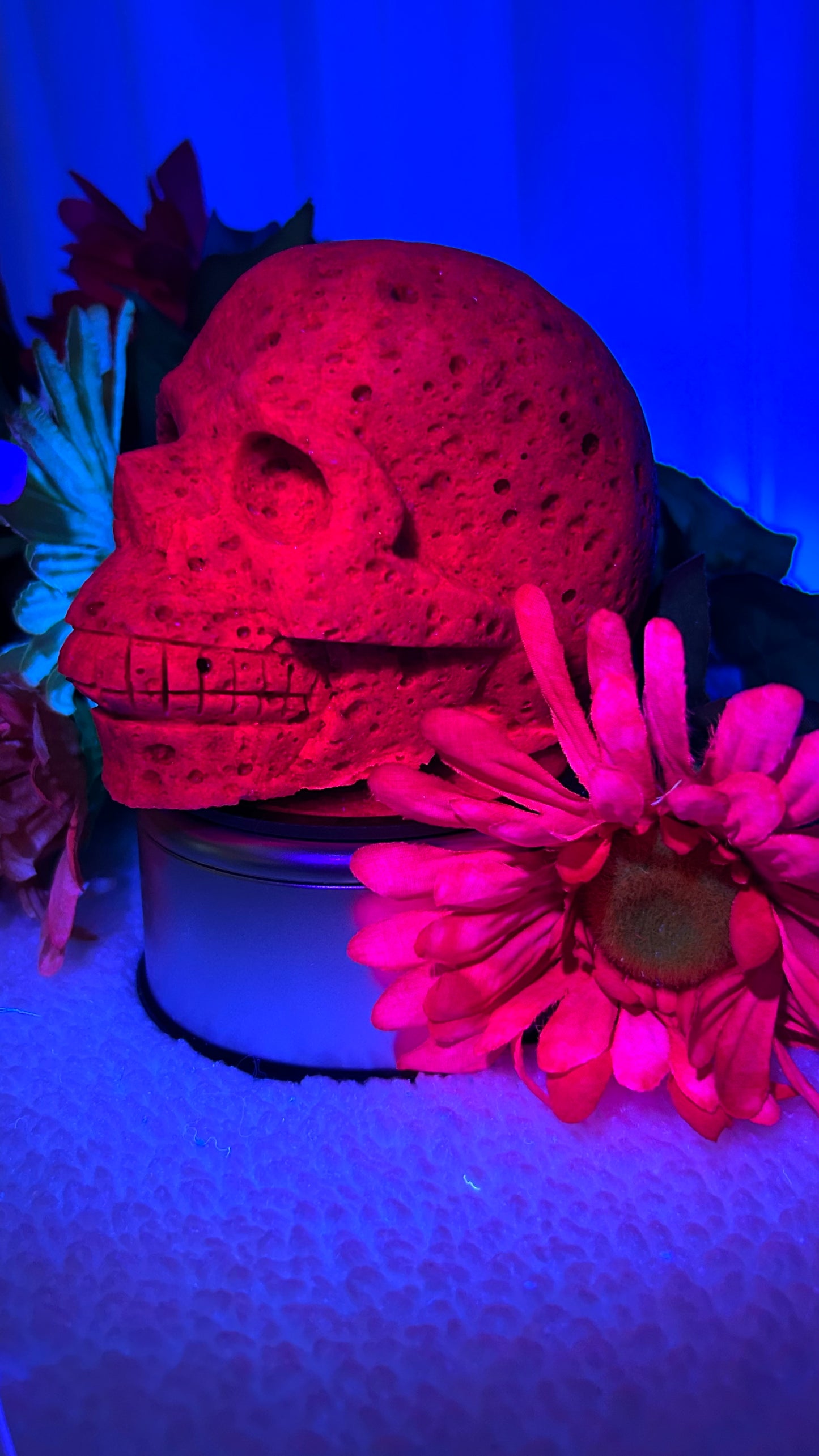 Honeycomb Ruby Skull