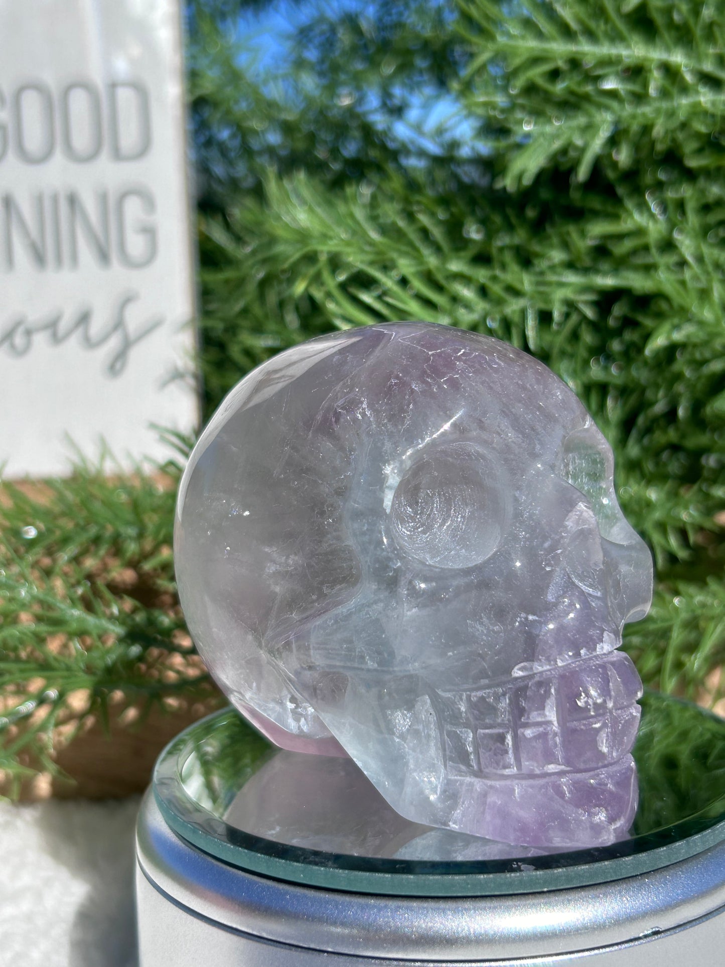 Fluorite Skull