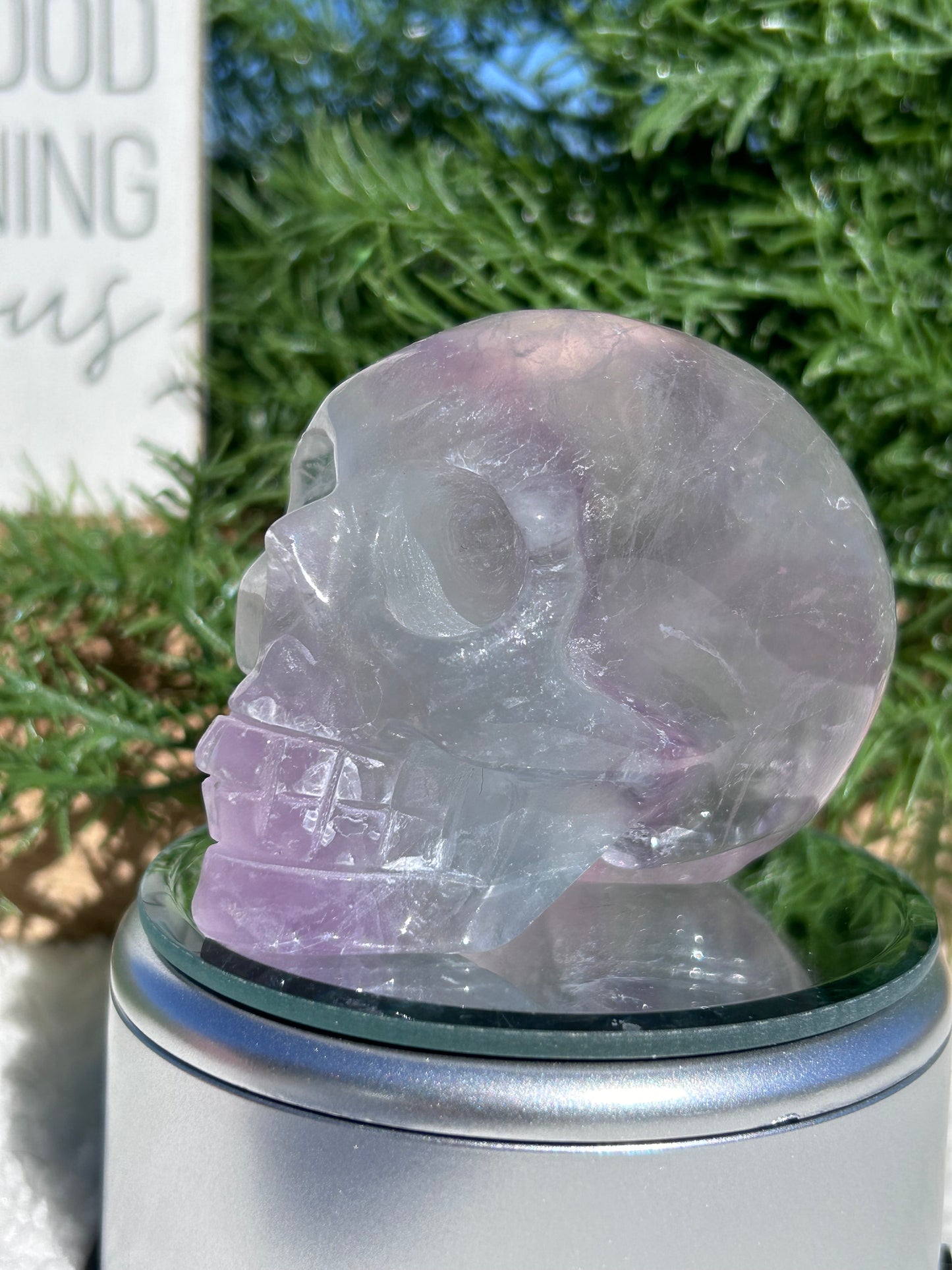 Fluorite Skull