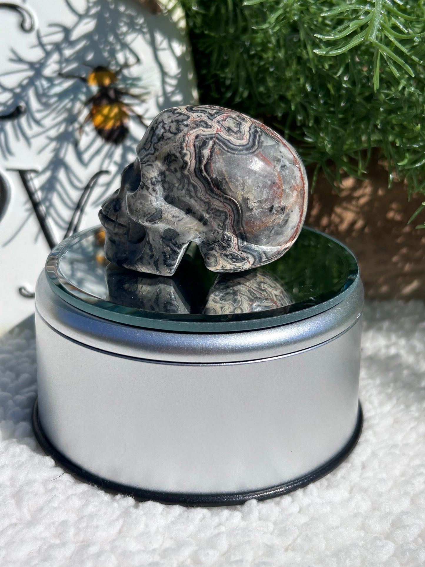 Picasso Jasper Skull