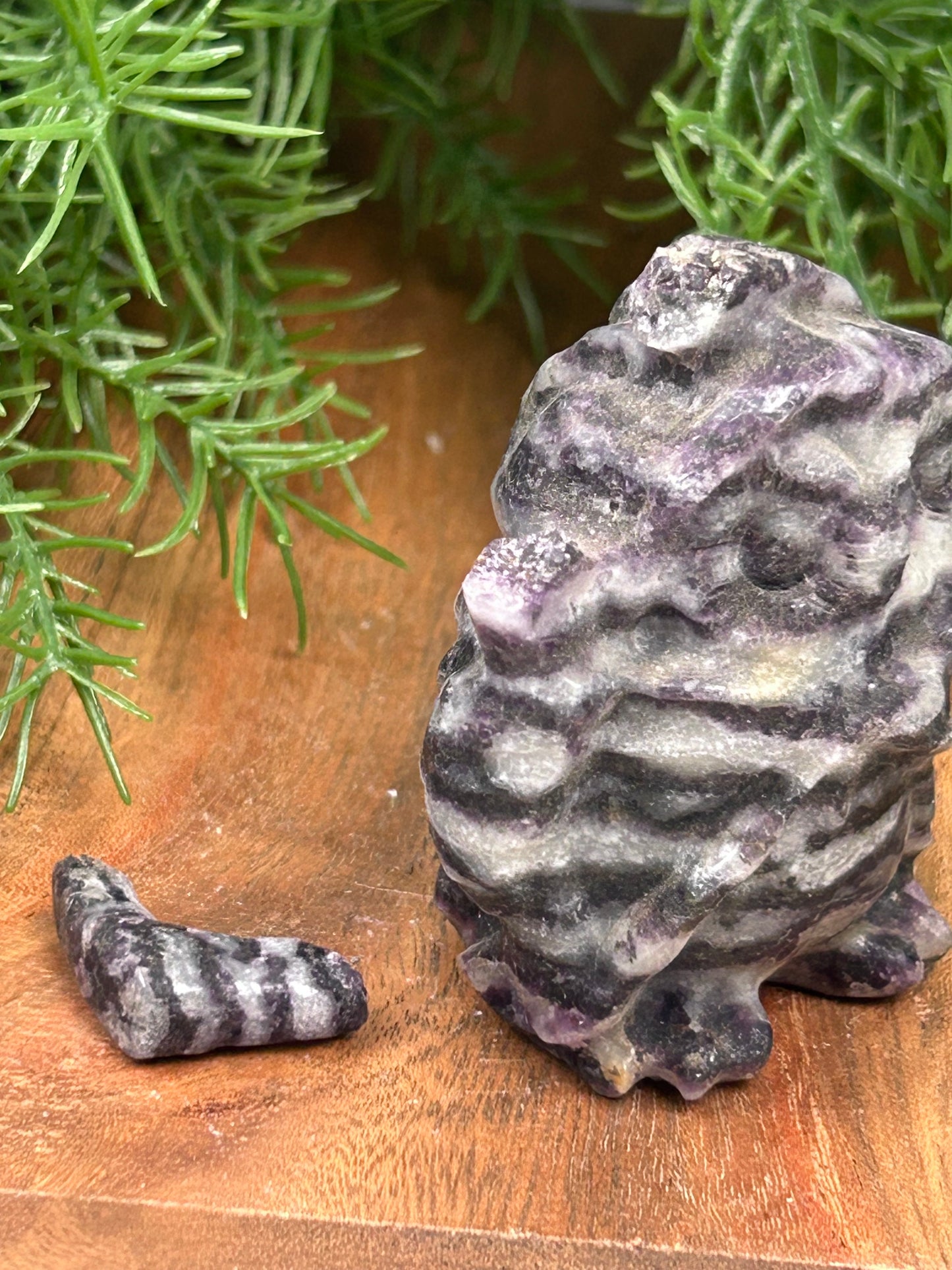 Zebra Jasper Reaper Owl
