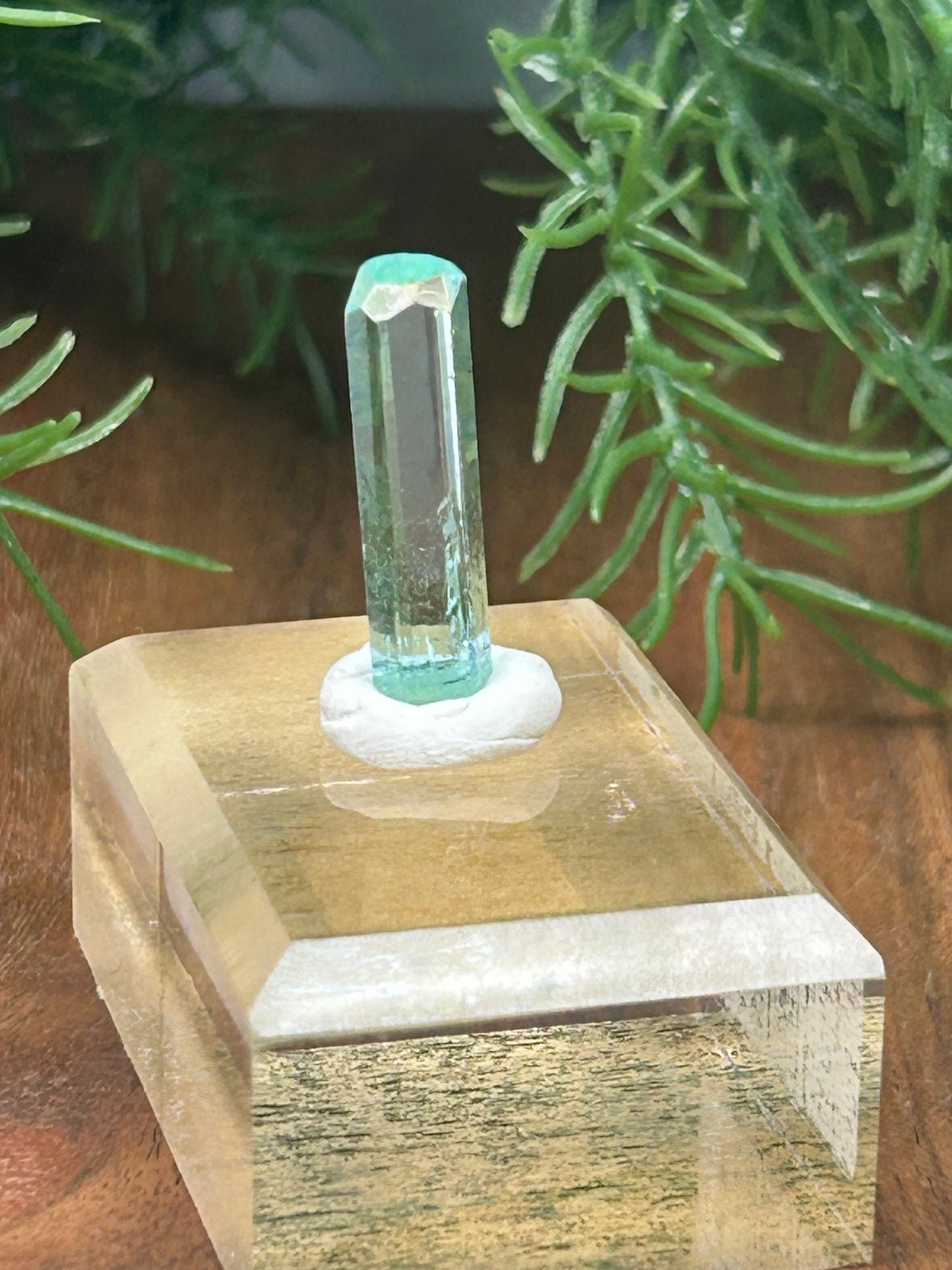 Delos Turner Aquamarine