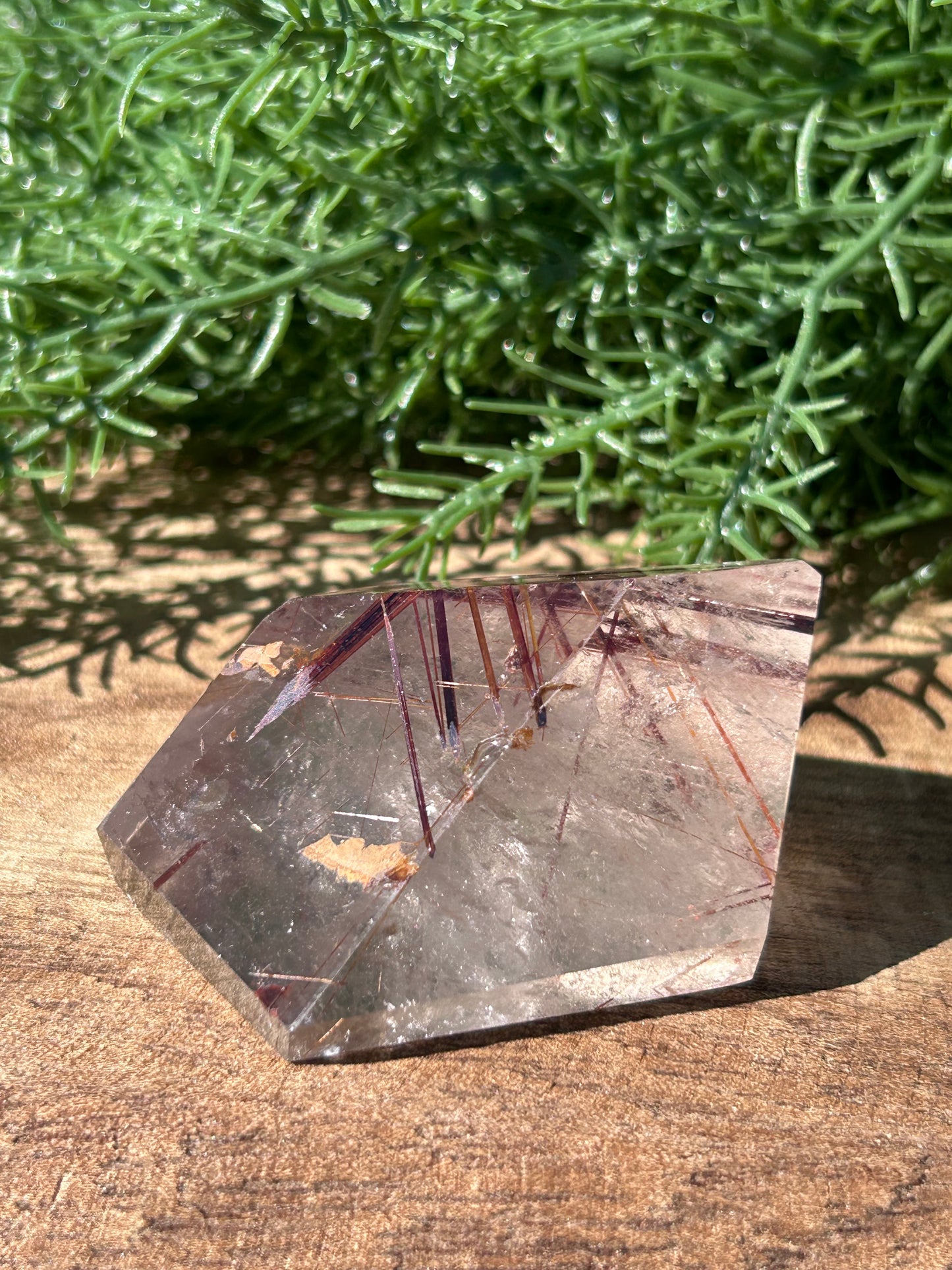 Tourmalated Quartz Free Form