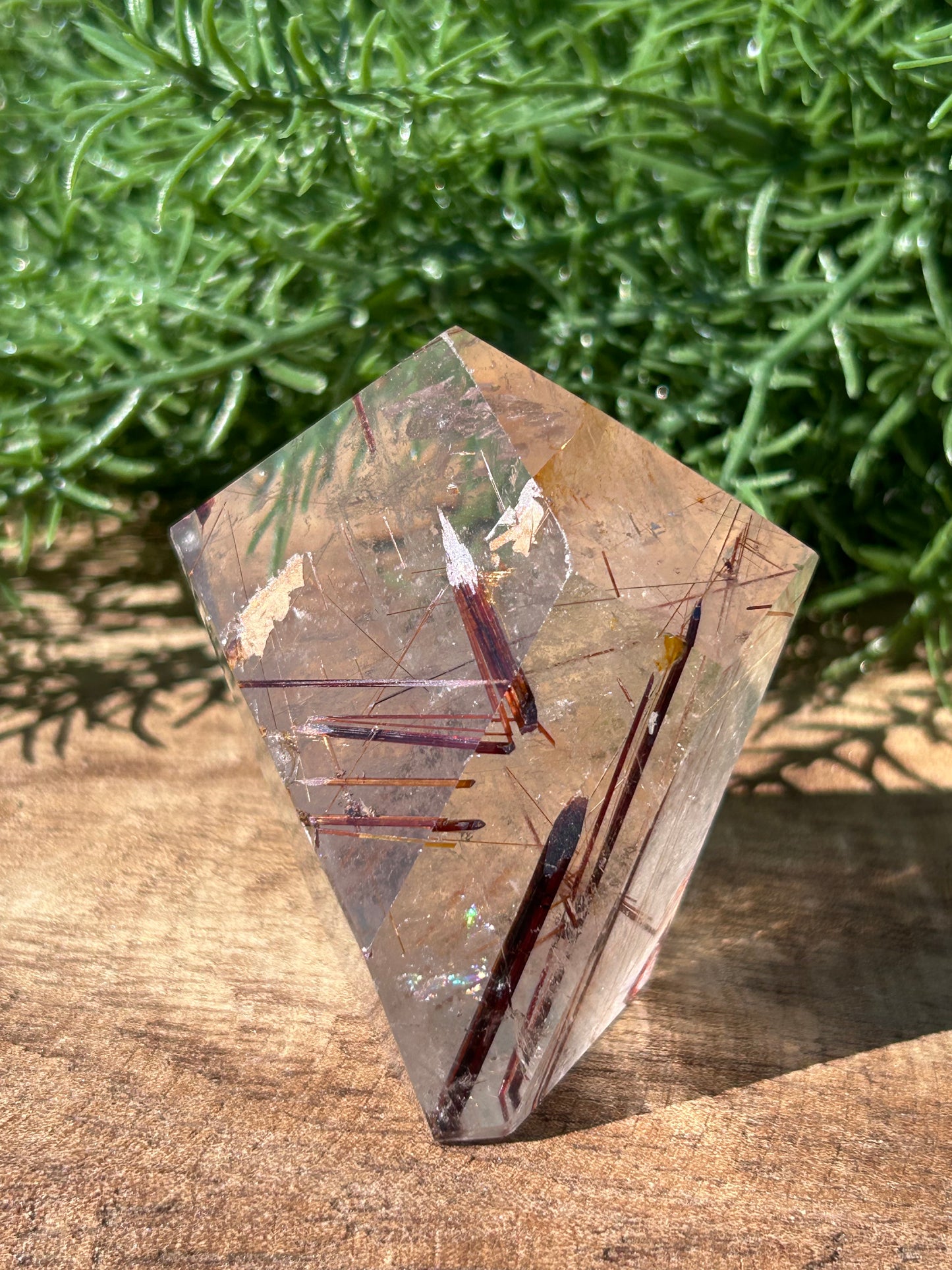Tourmalated Quartz Free Form