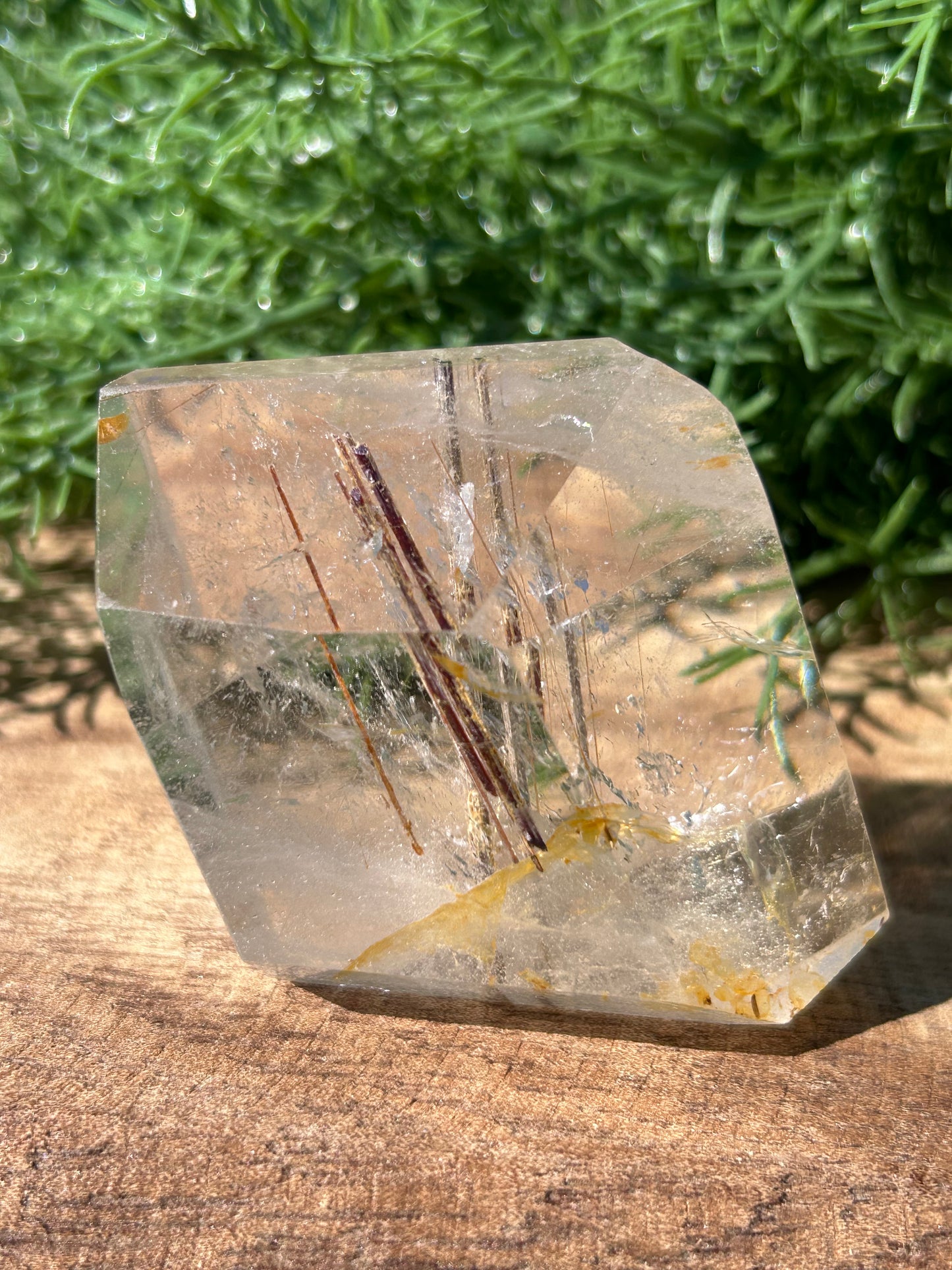 Rutilated Quartz Free Form