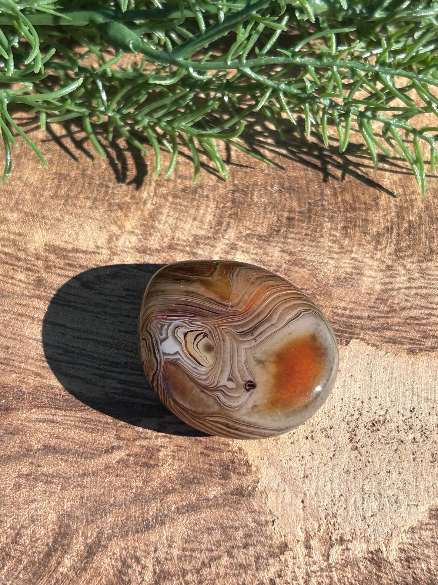 Madagascar Banded Agate D7