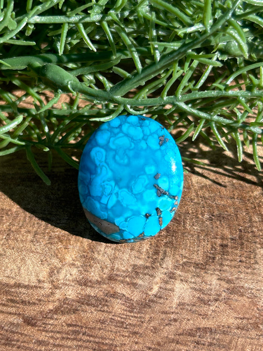 Turquoise Cabochon - 1
