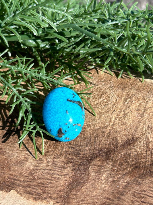 Turquoise Cabochon - 2