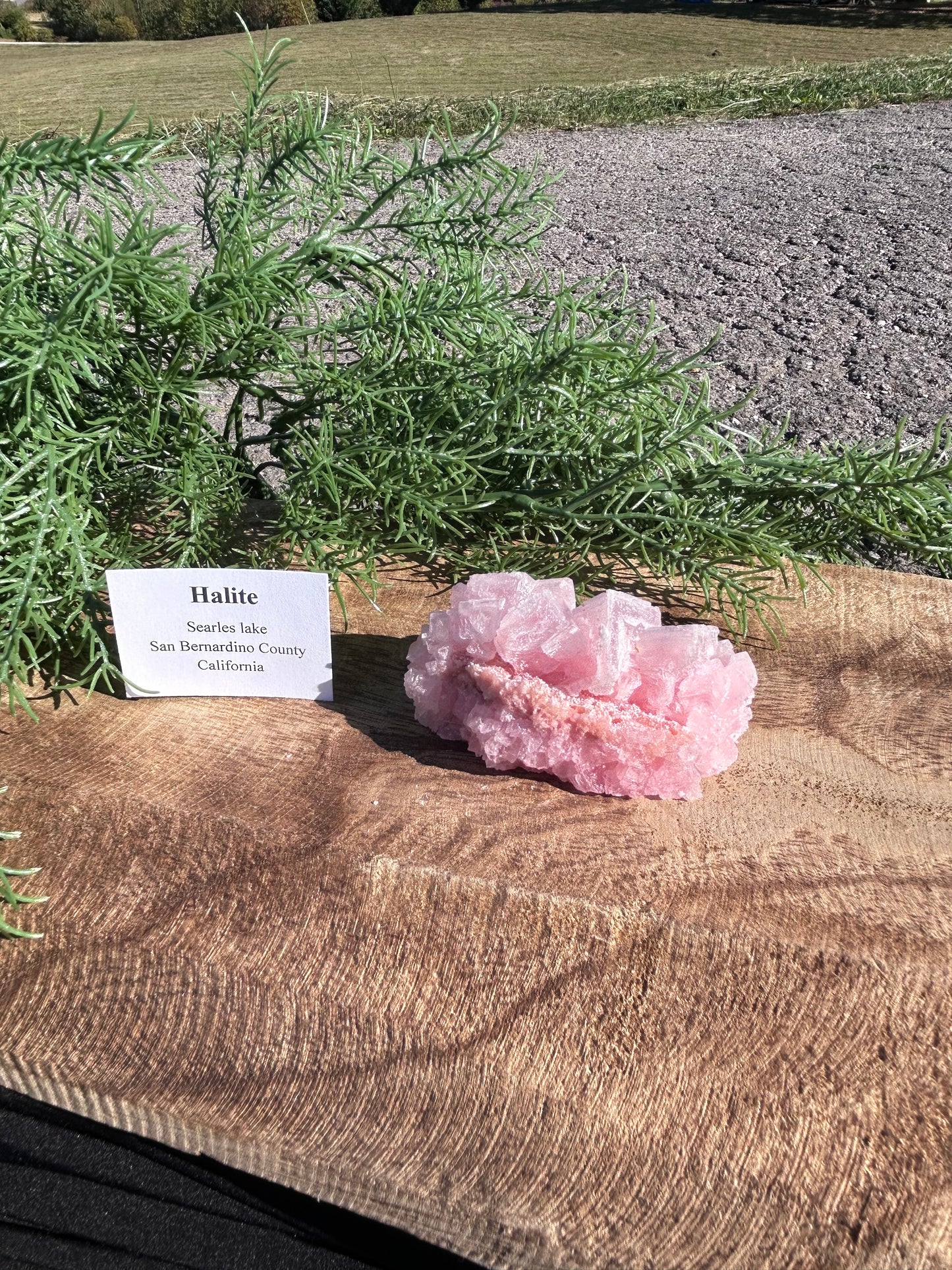 Halite Specimen B