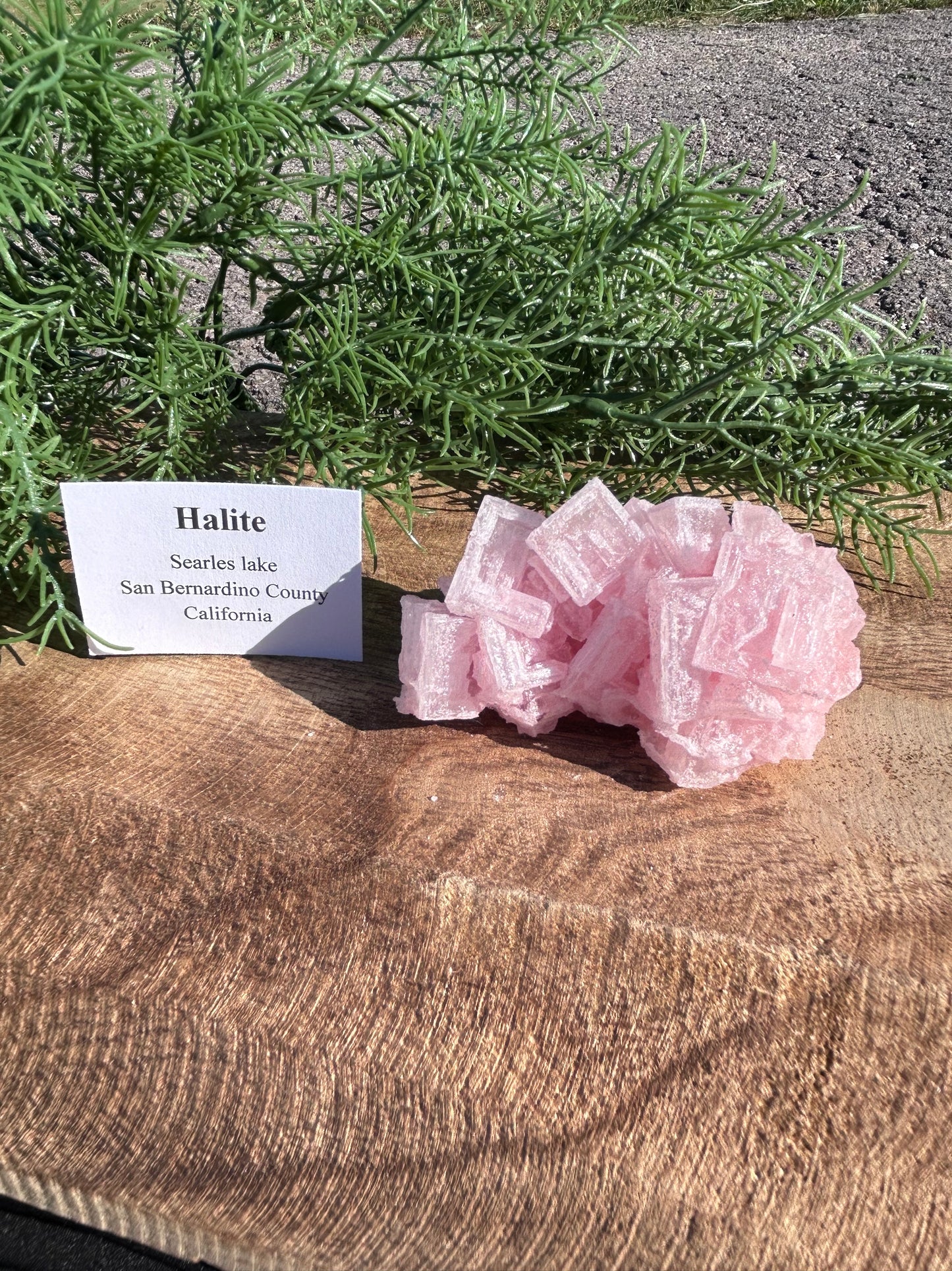 Halite Specimen B