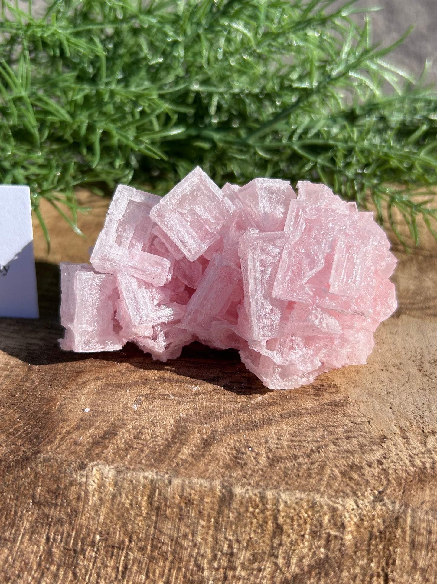 Halite Specimen B