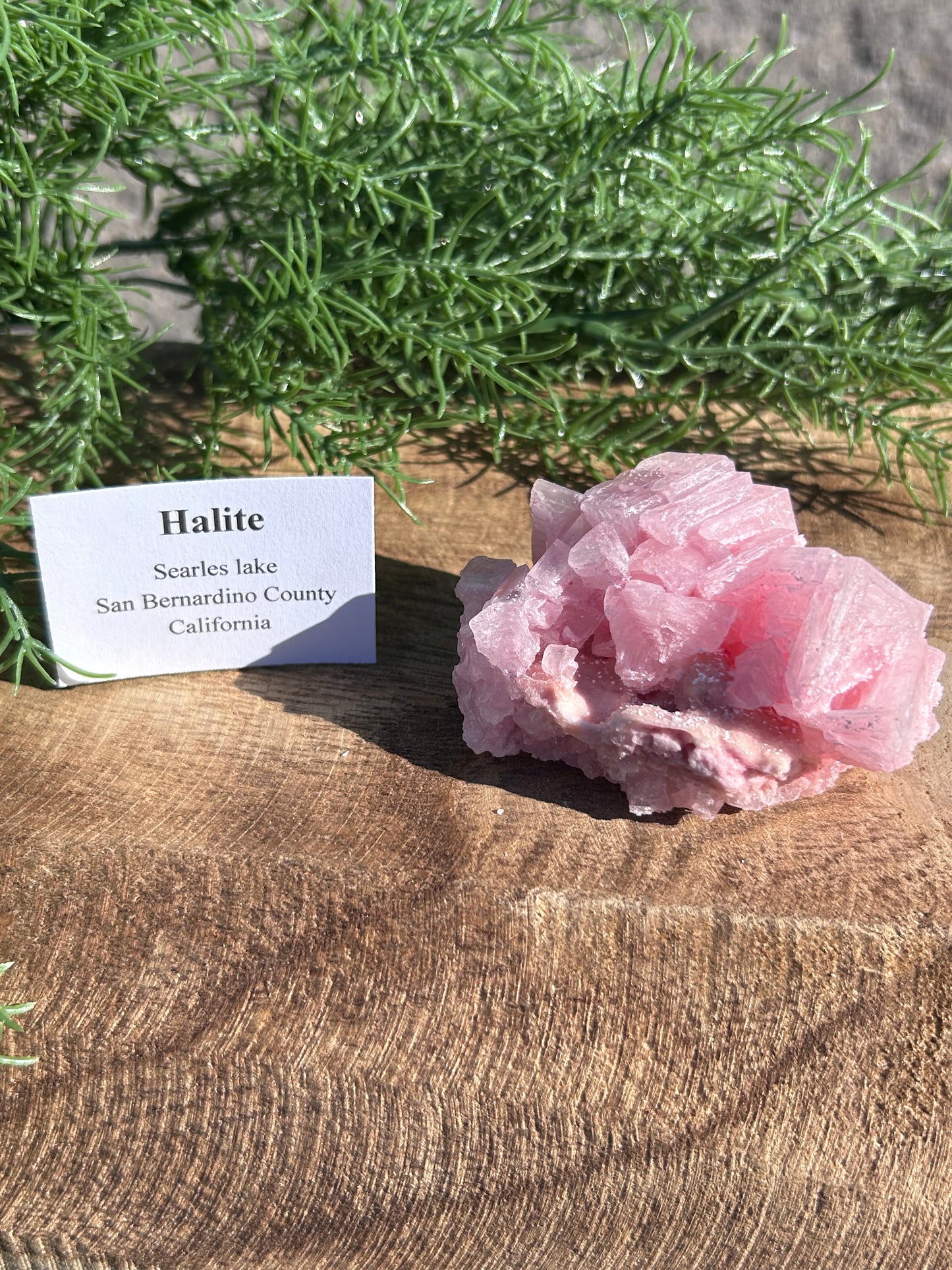 Halite Specimen C
