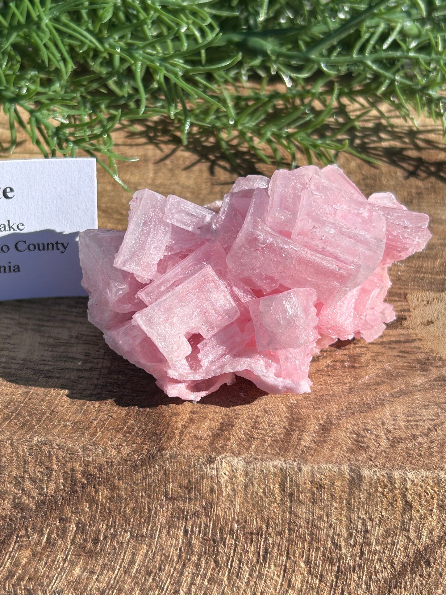 Halite Specimen C
