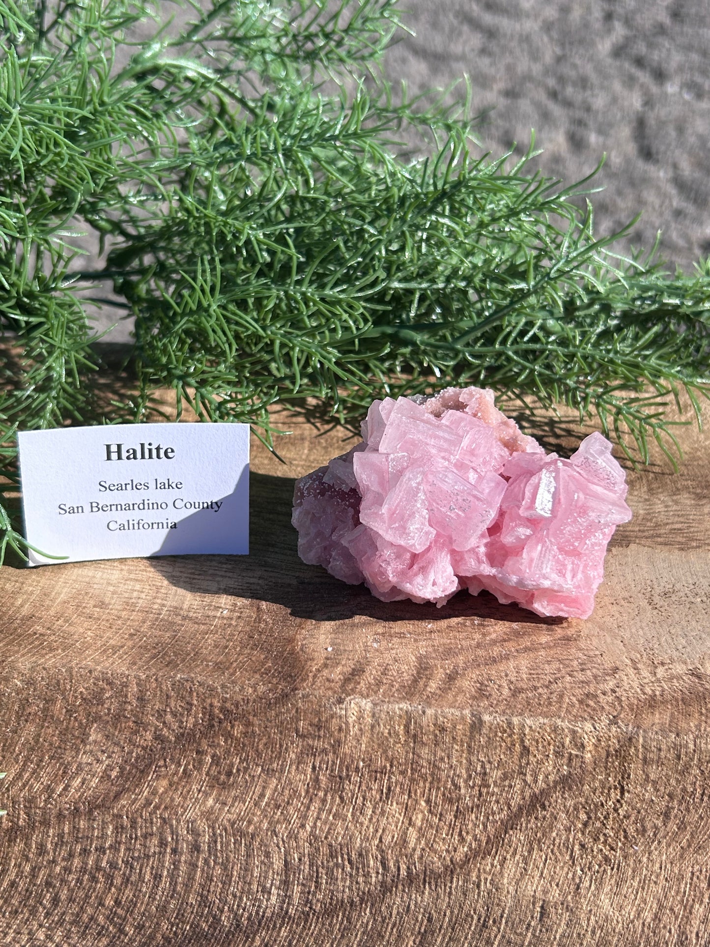 Halite Specimen D