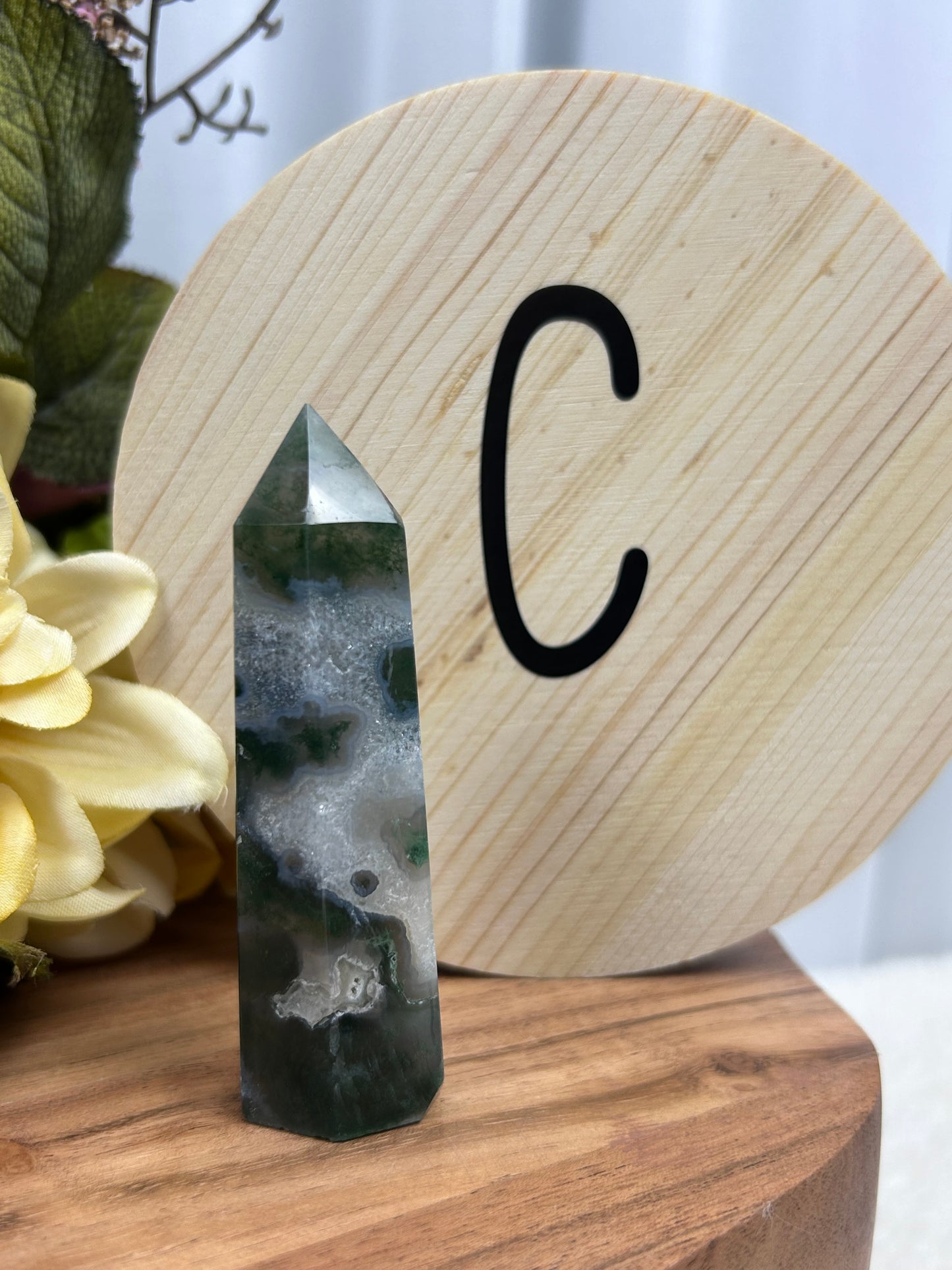 Moss Agate Point