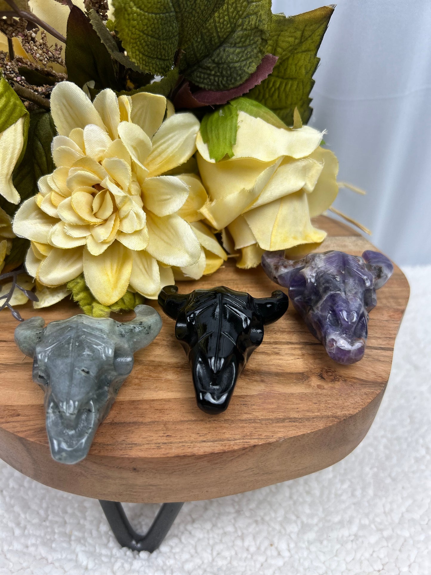 Steer Skull