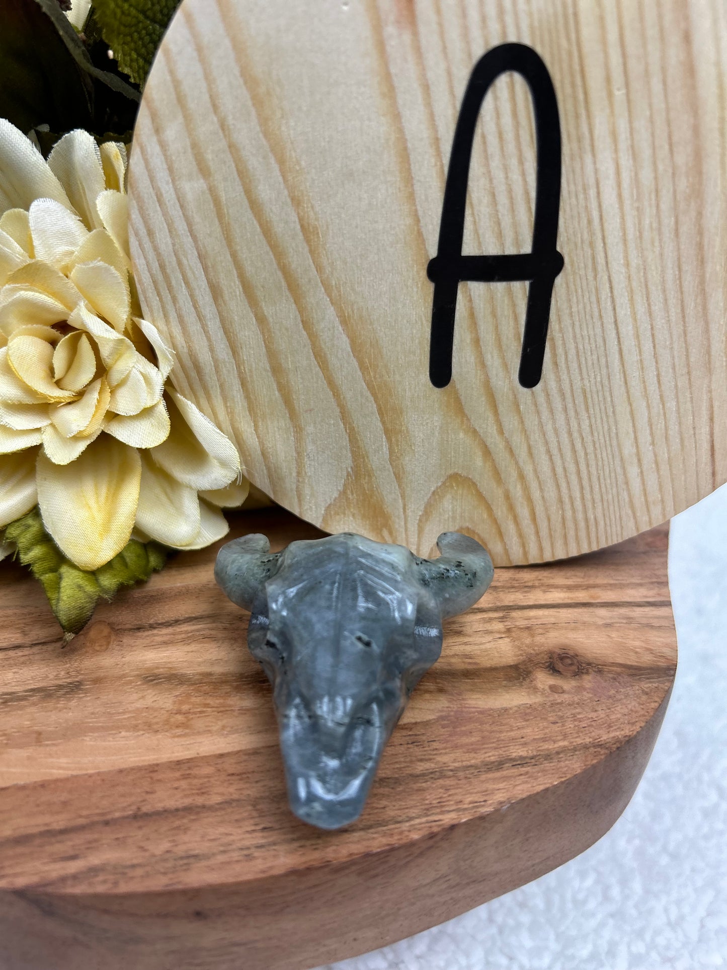 Steer Skull
