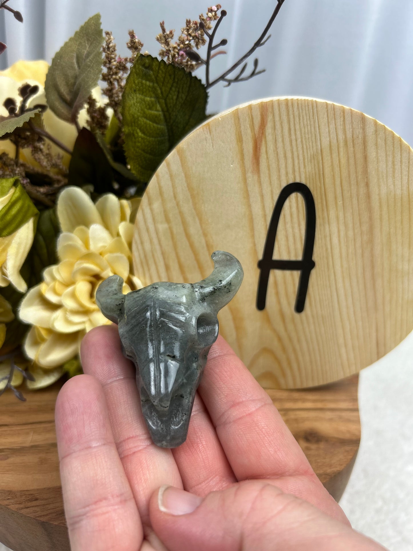 Steer Skull