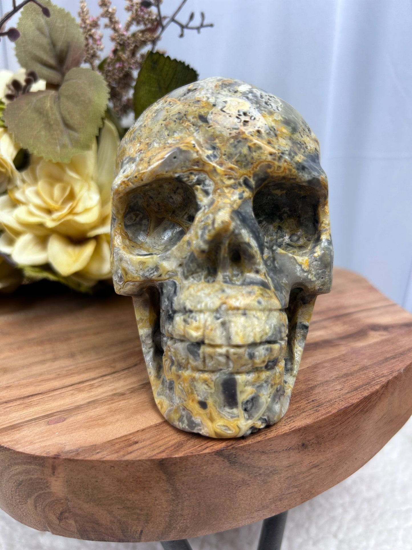 Crazy Lace Agate Skull