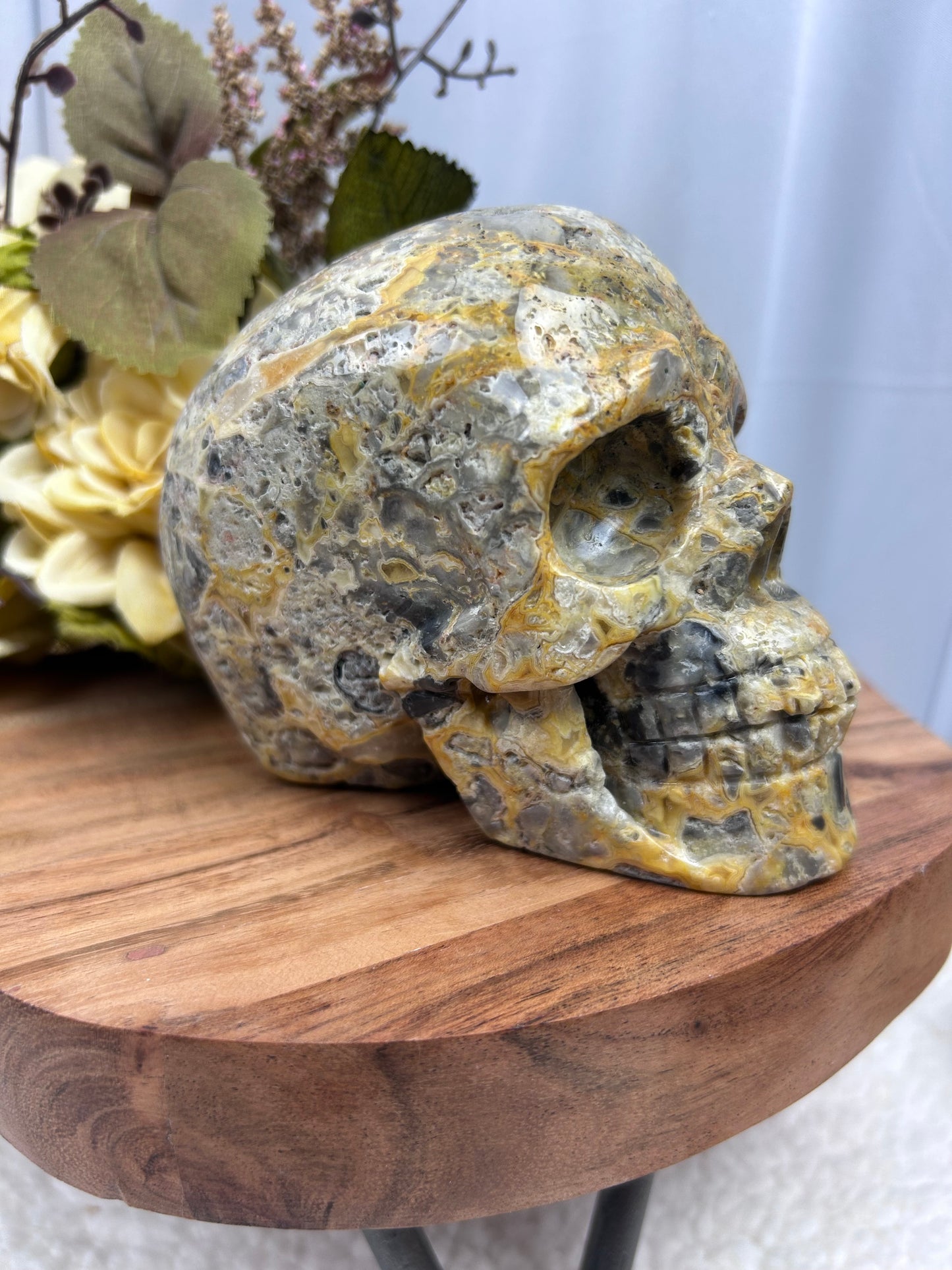 Crazy Lace Agate Skull
