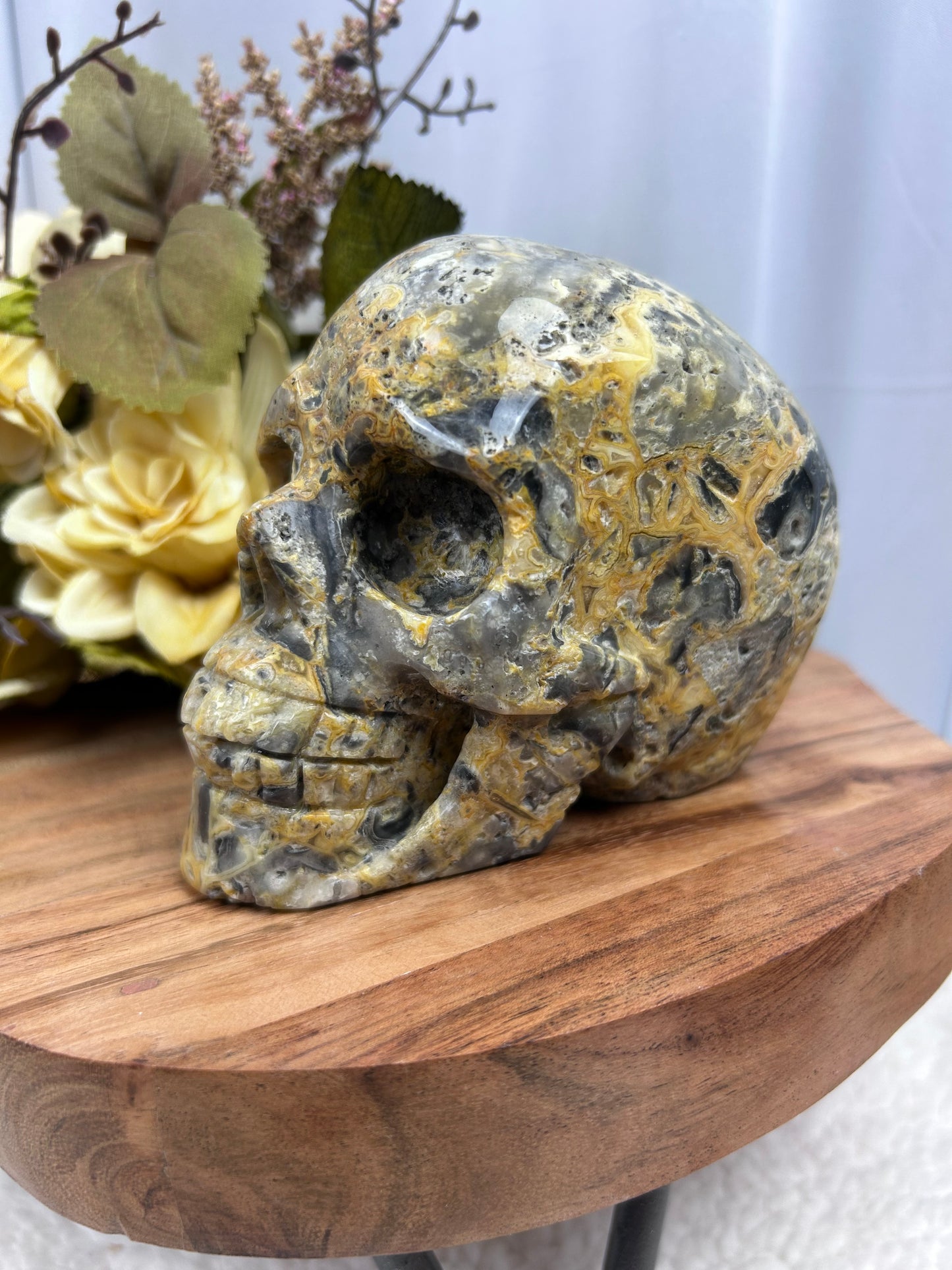 Crazy Lace Agate Skull