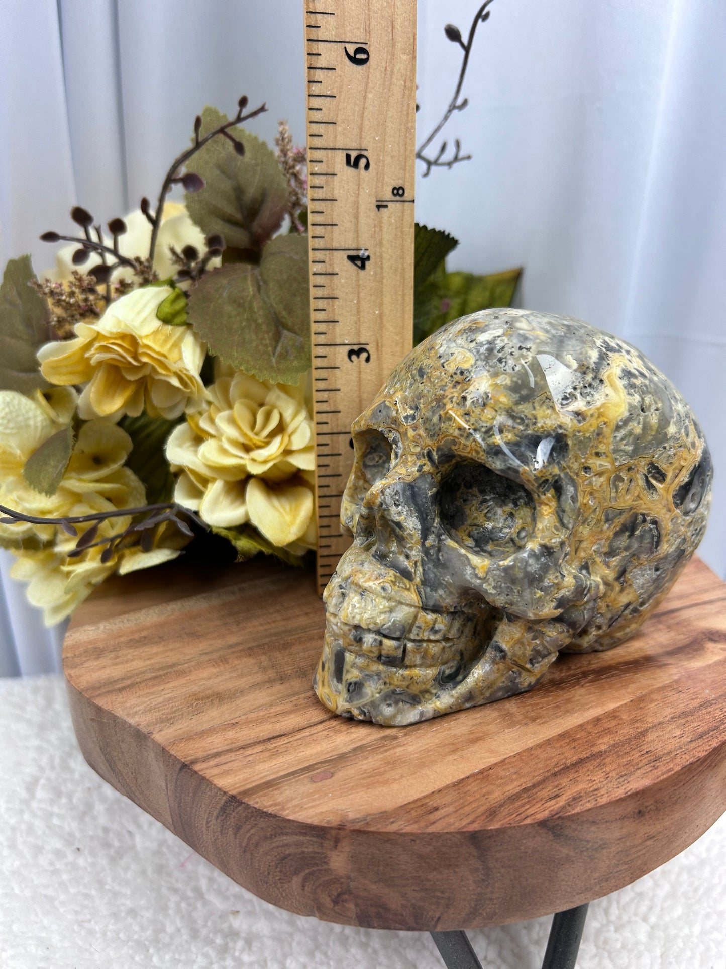 Crazy Lace Agate Skull