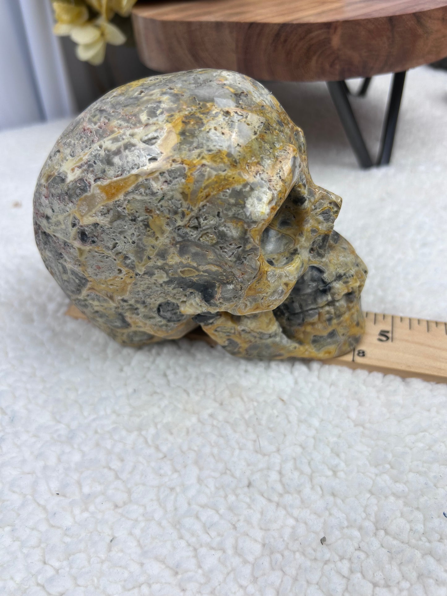 Crazy Lace Agate Skull