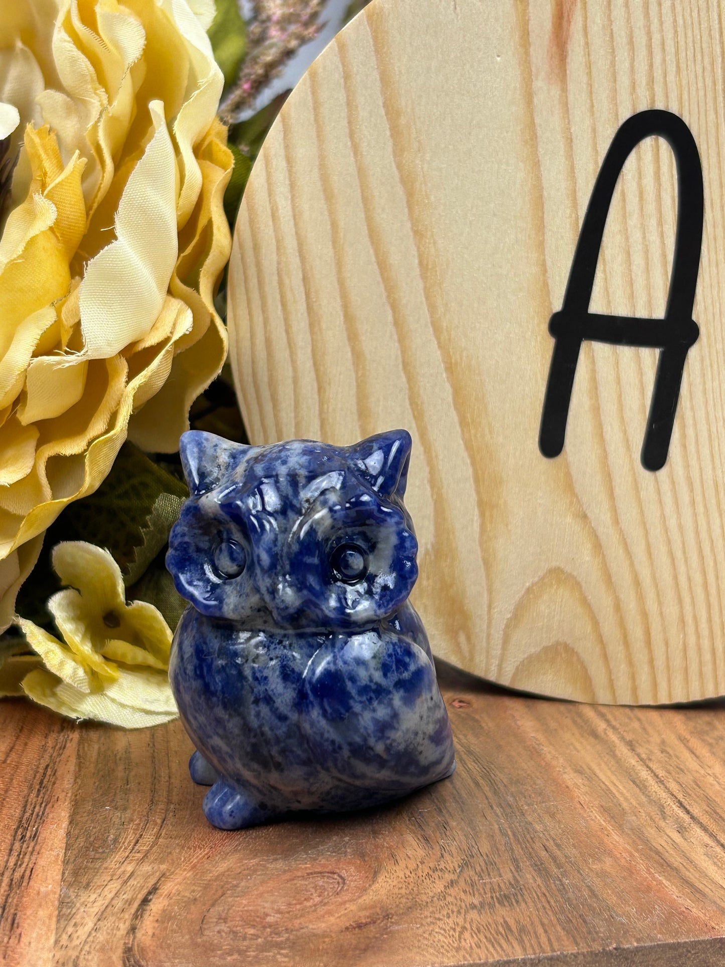 Owl