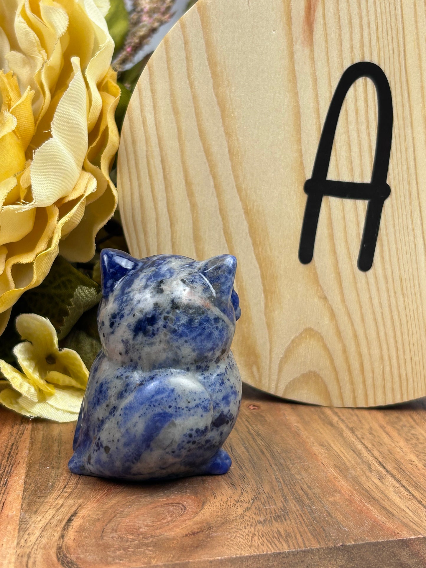 Owl