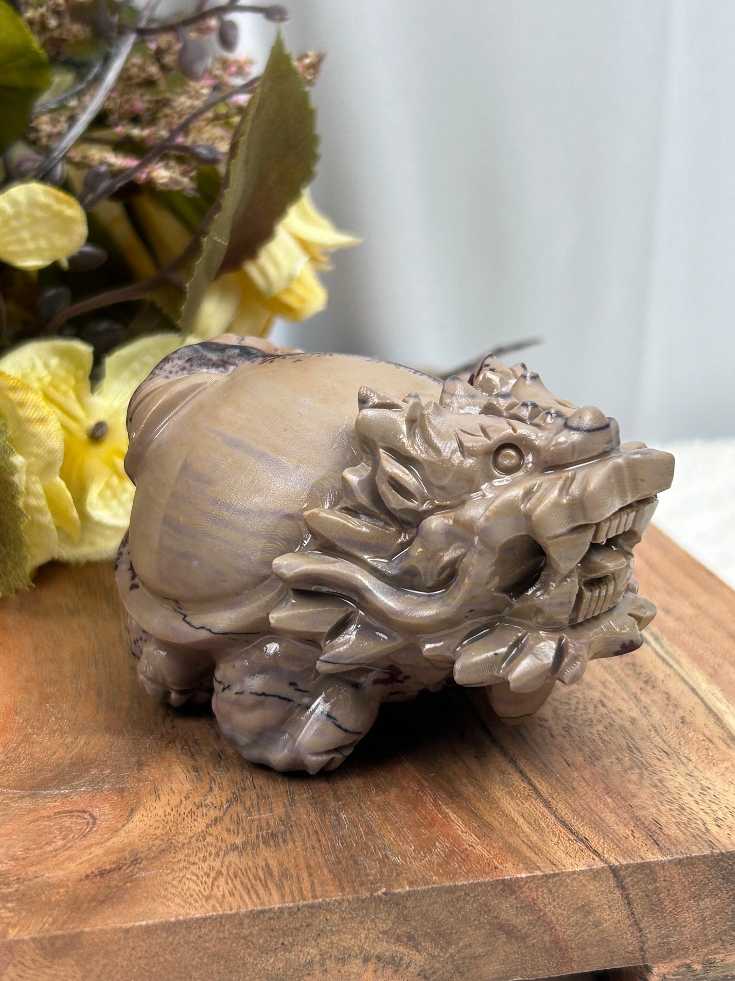 Dendritic Jasper Dragon Turtle
