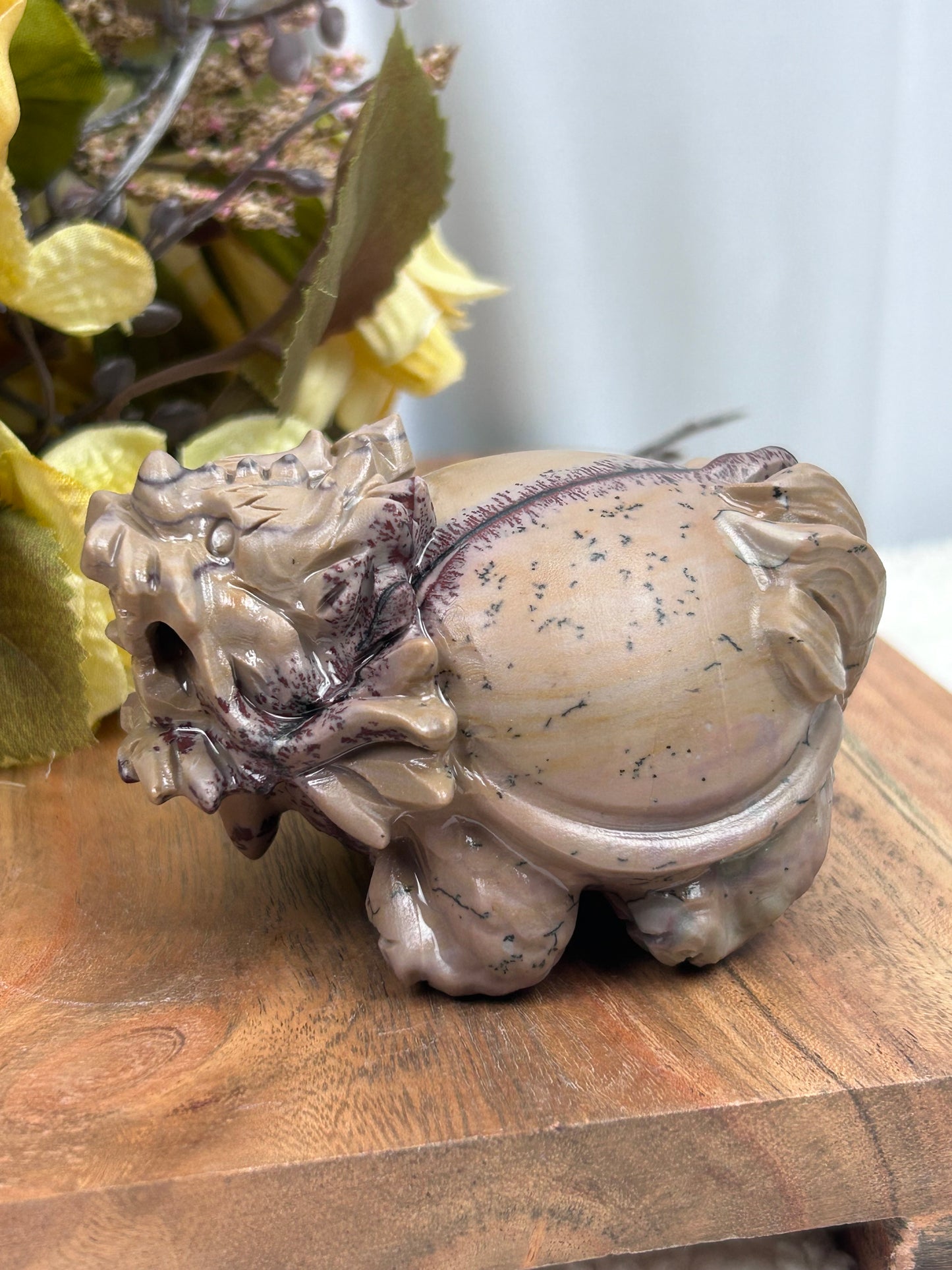 Dendritic Jasper Dragon Turtle