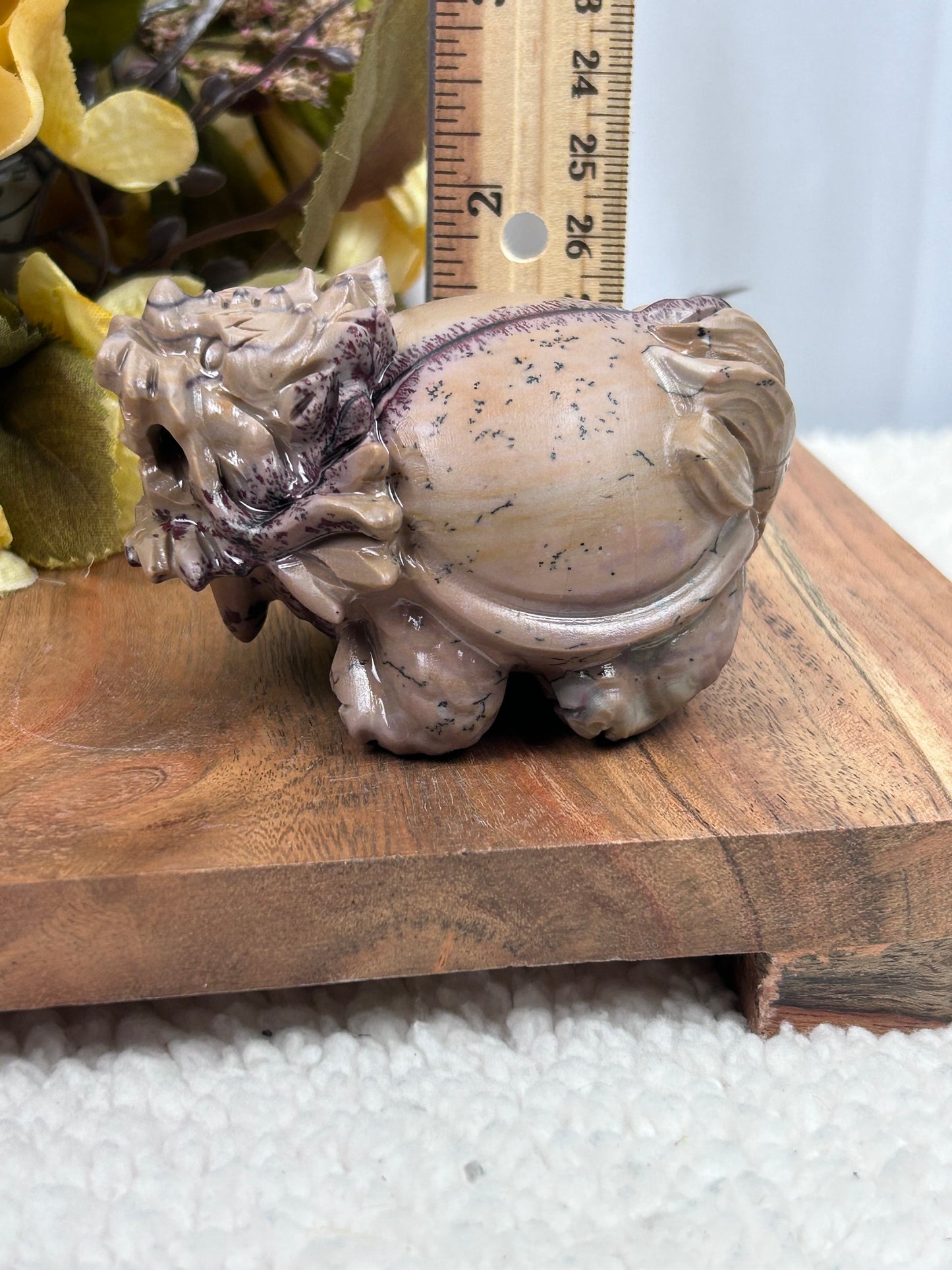 Dendritic Jasper Dragon Turtle