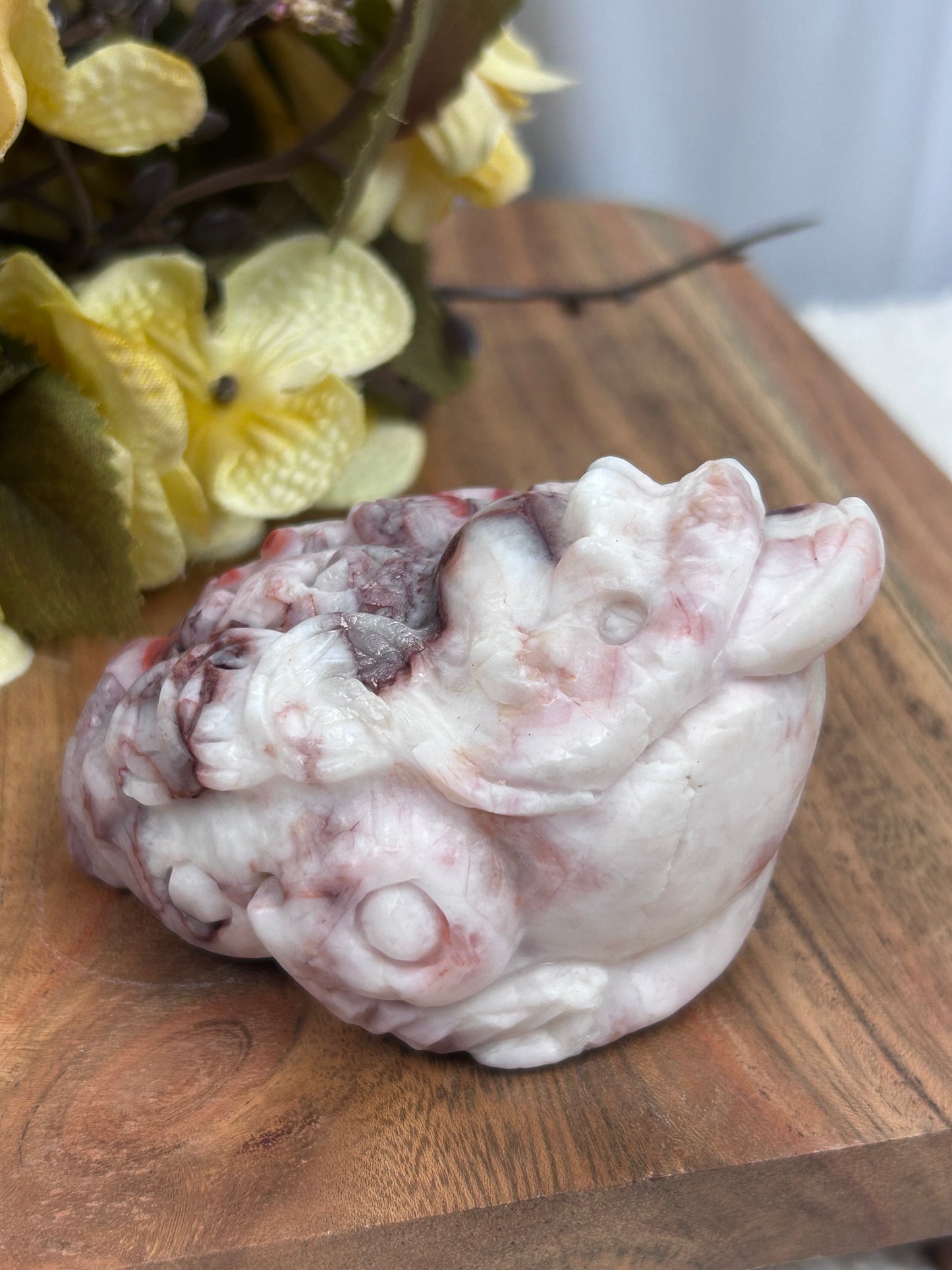 Red Vein Jasper Money Toad