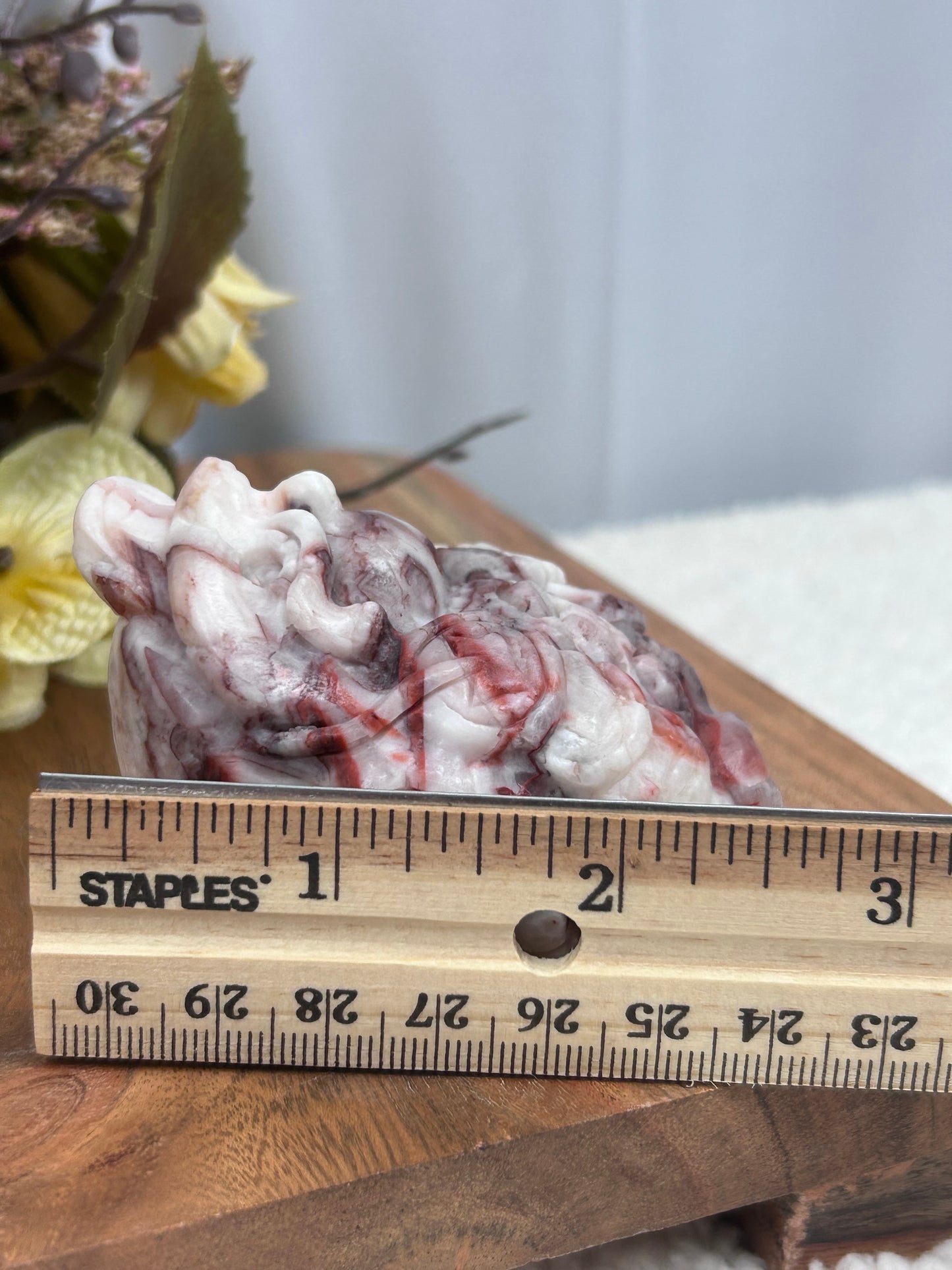 Red Vein Jasper Money Toad