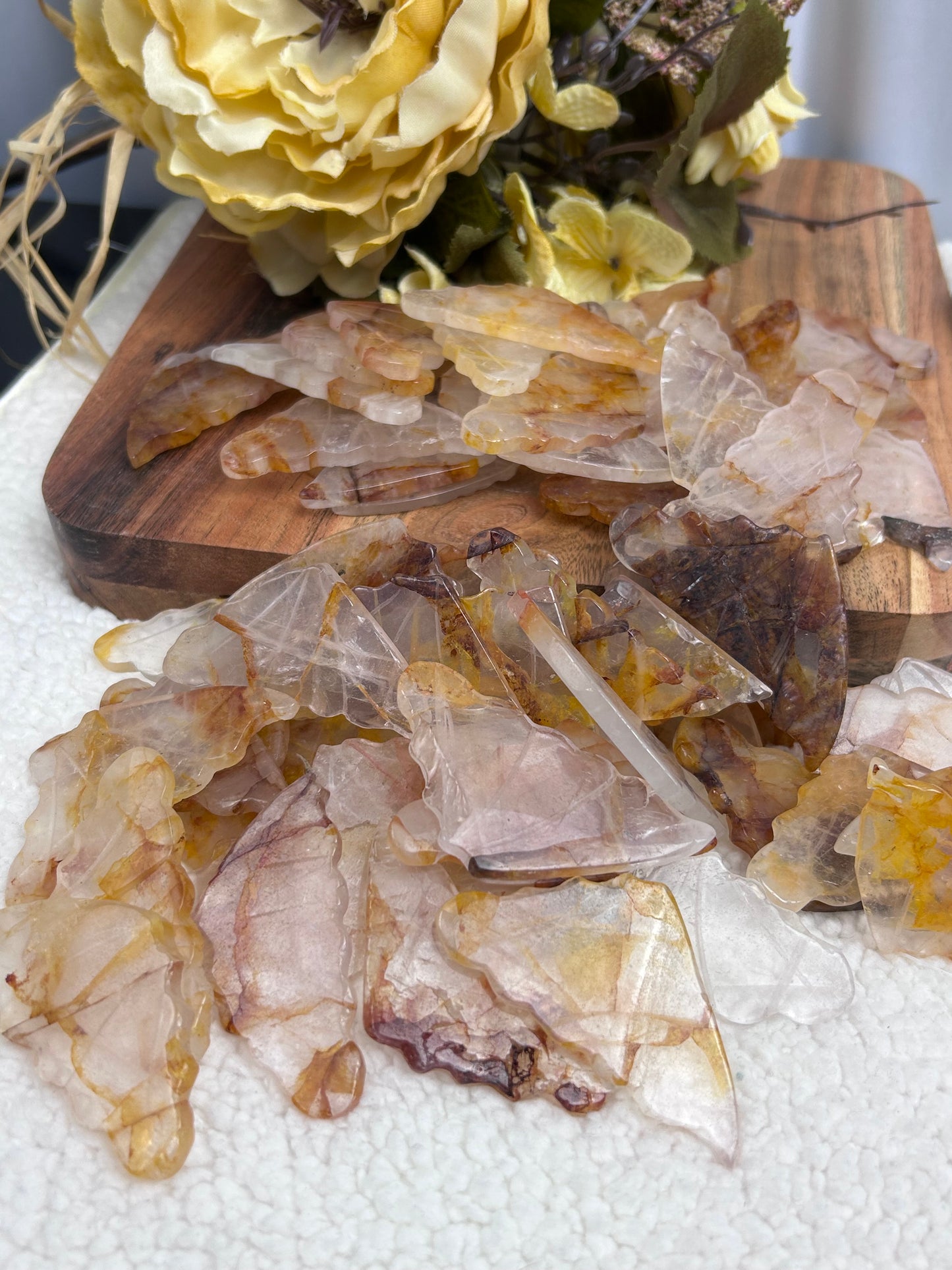 1 Golden Healer Butterfly Wing
