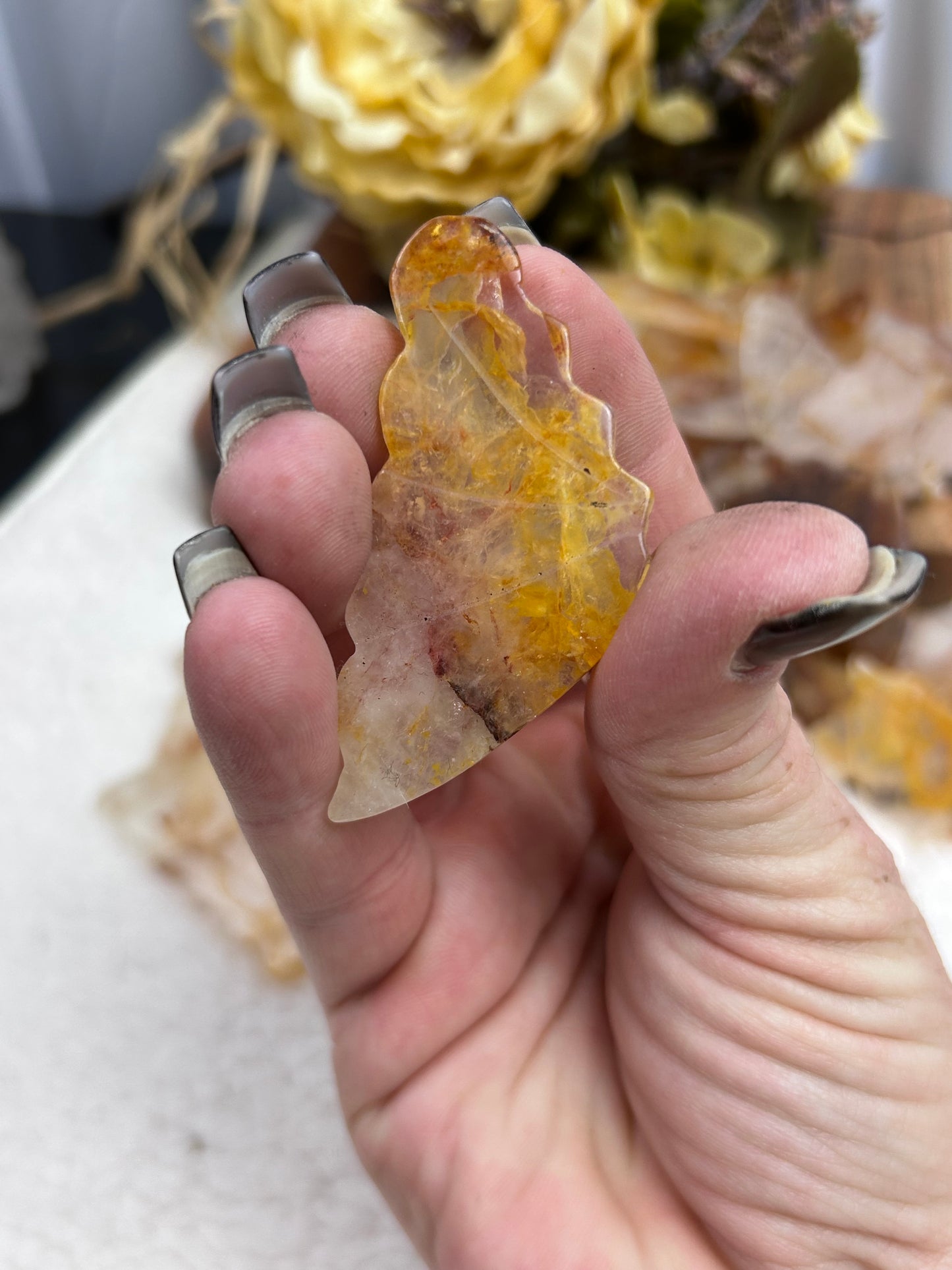 1 Golden Healer Butterfly Wing