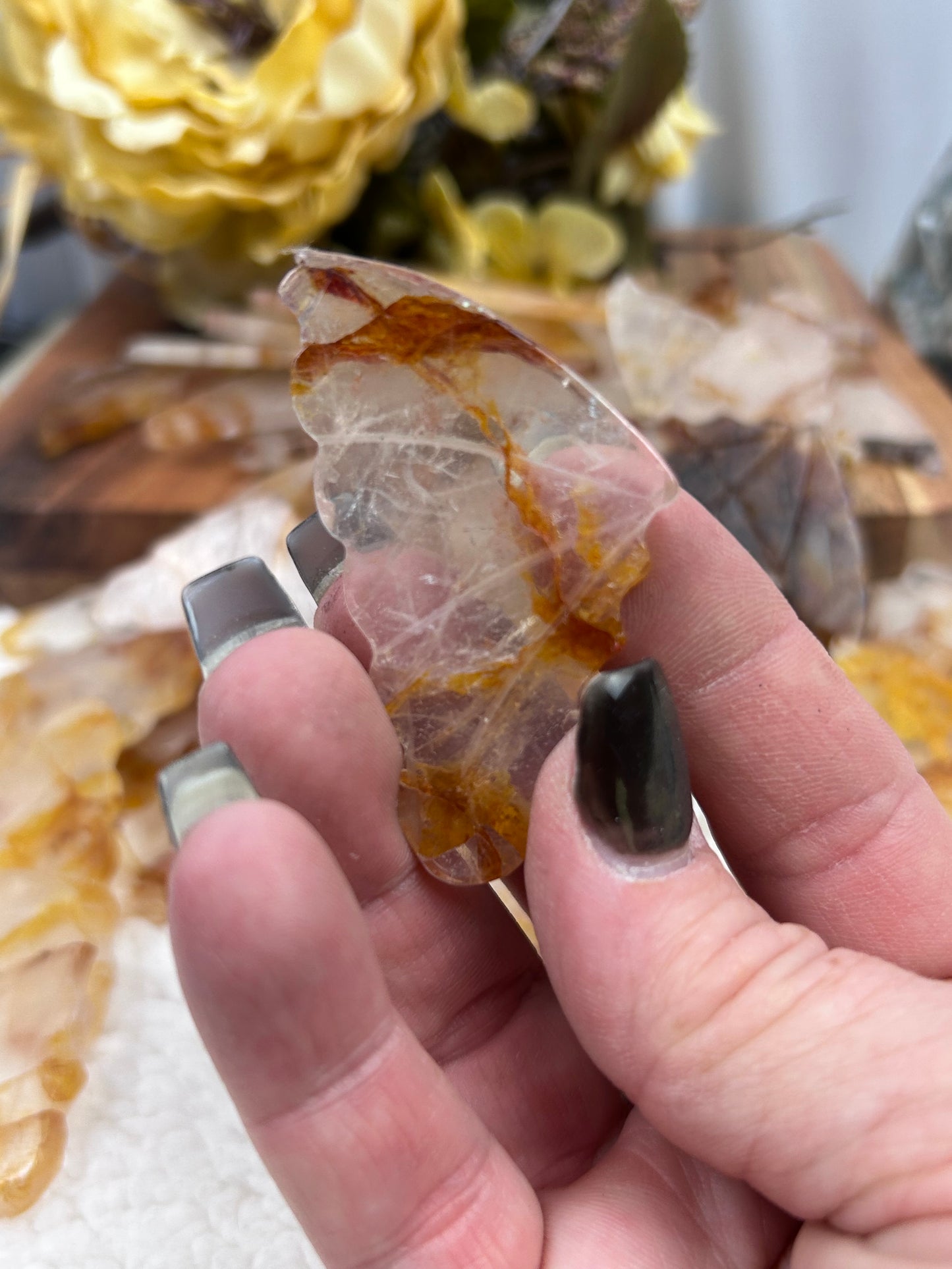 1 Golden Healer Butterfly Wing