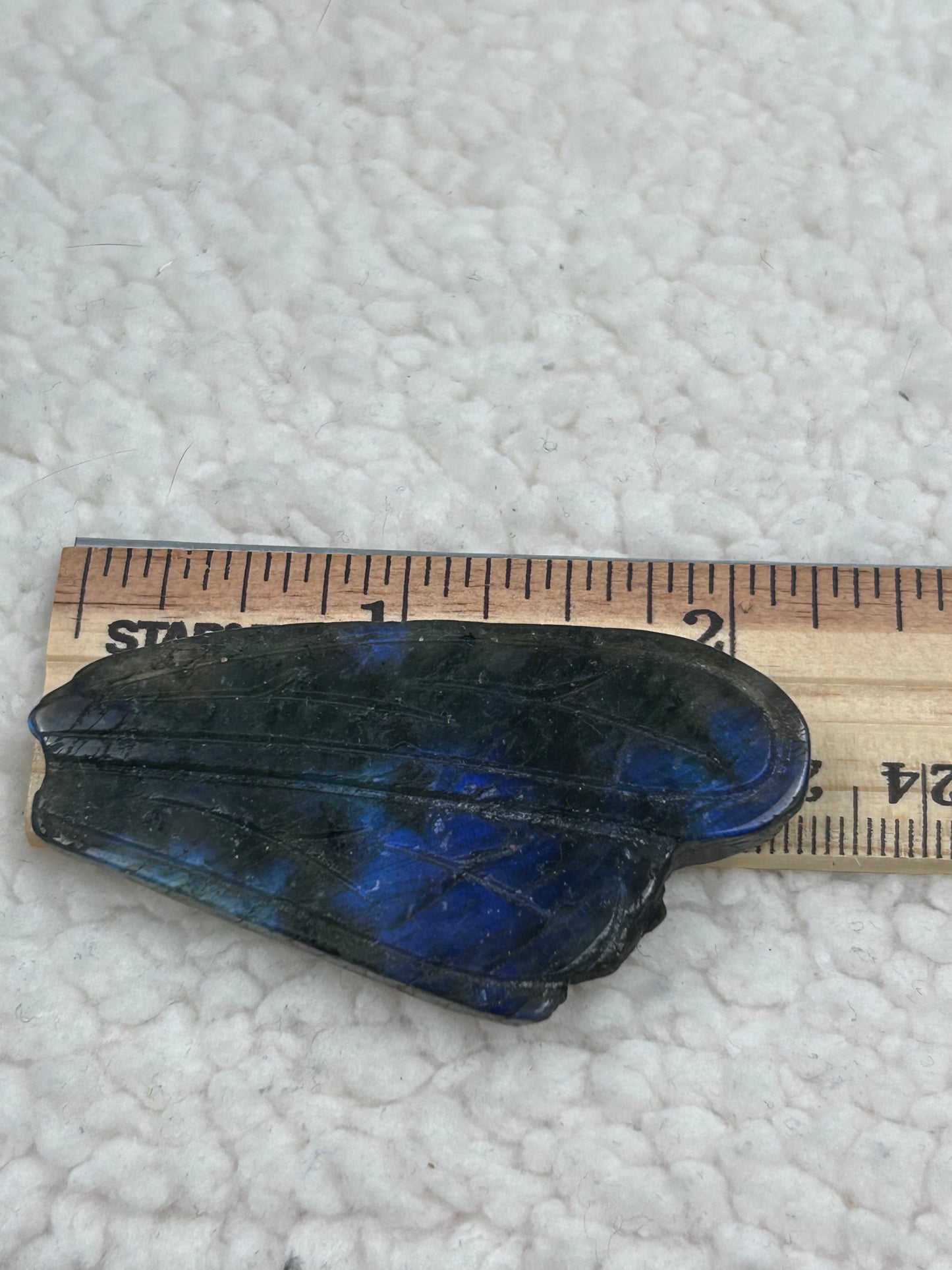 1 Labradorite Wing