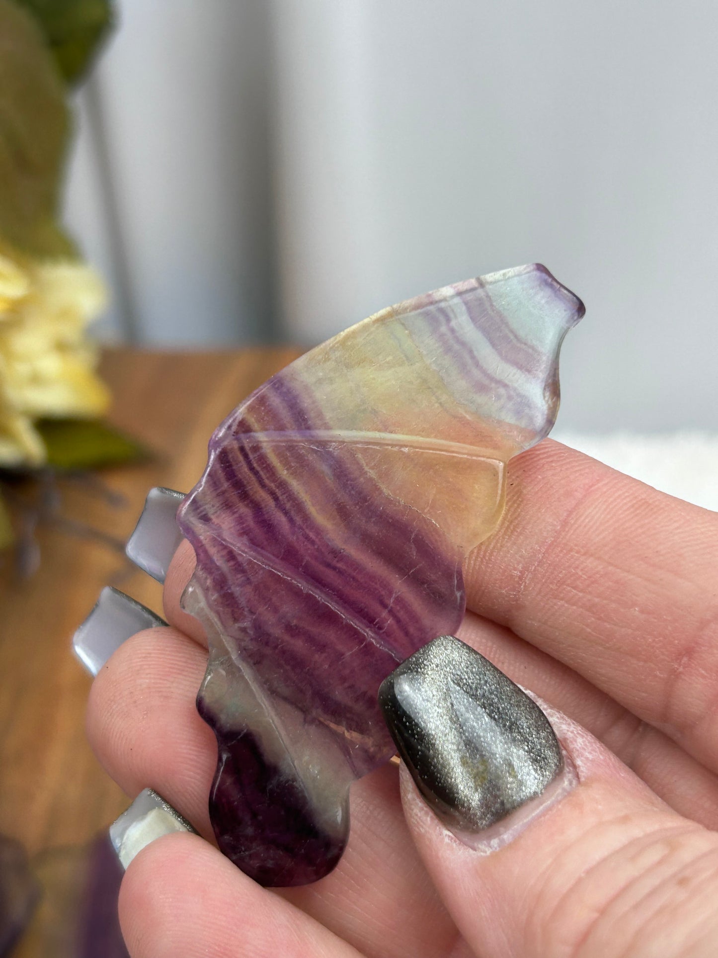 1 Fluorite Butterfly Wing