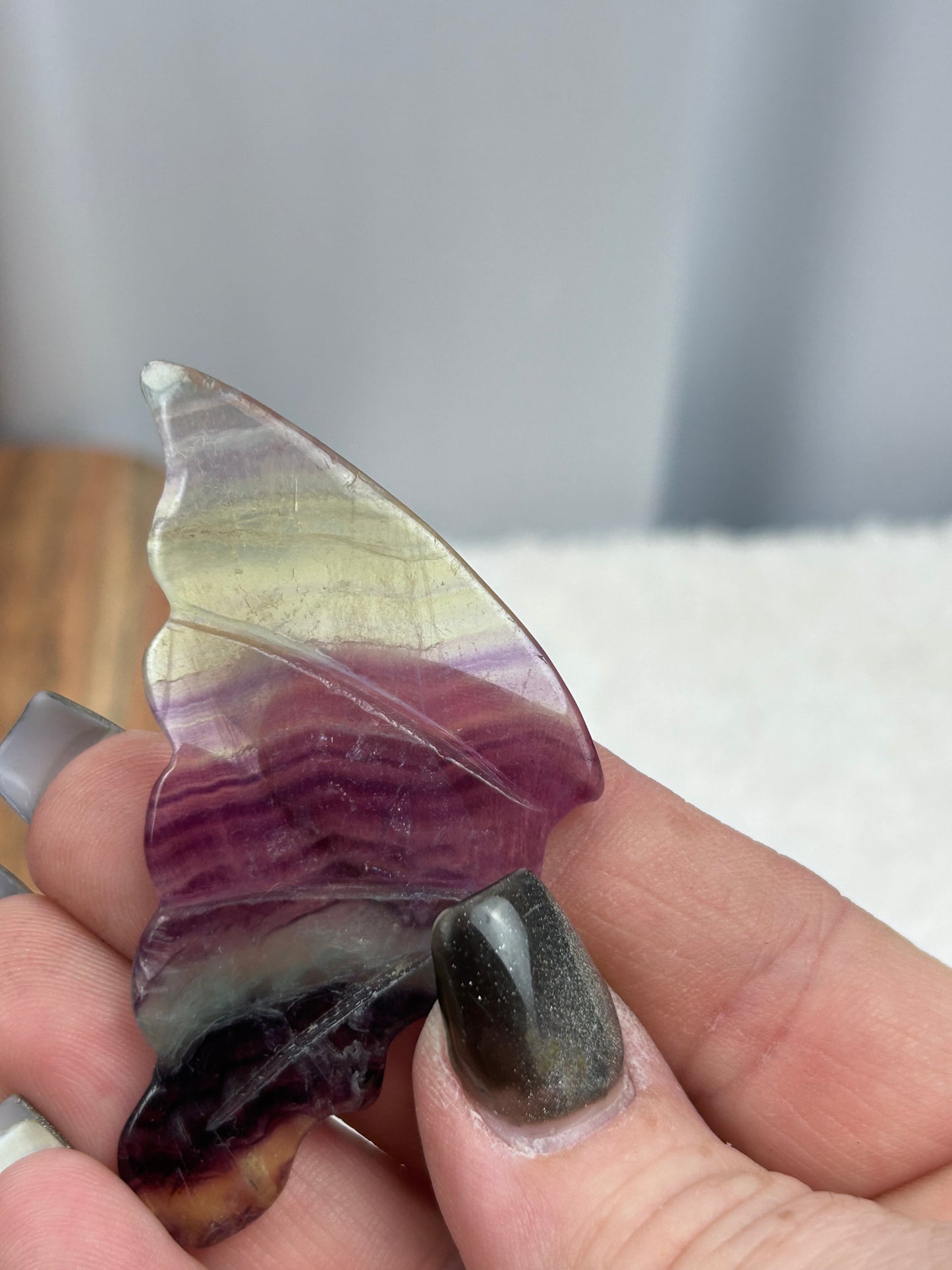 1 Fluorite Butterfly Wing