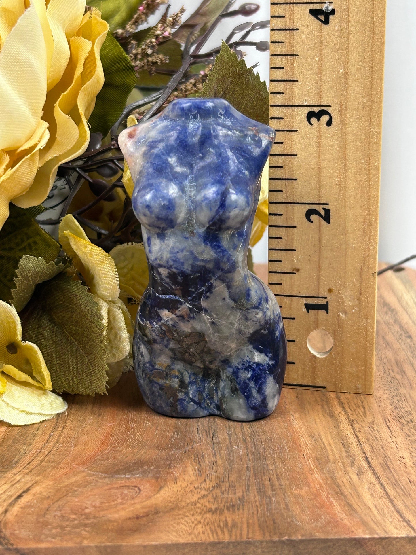 Sodalite Torso