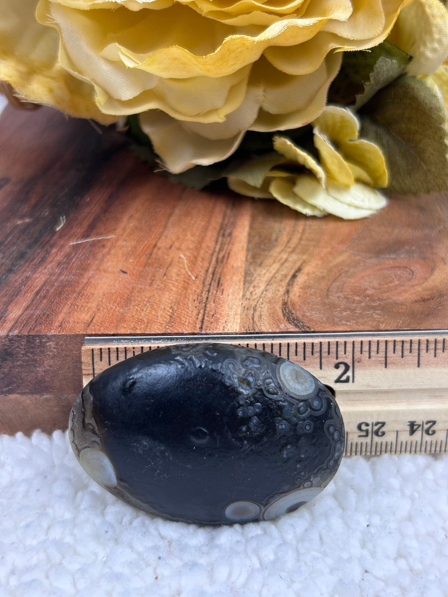 Gobi Agate Palm Stone