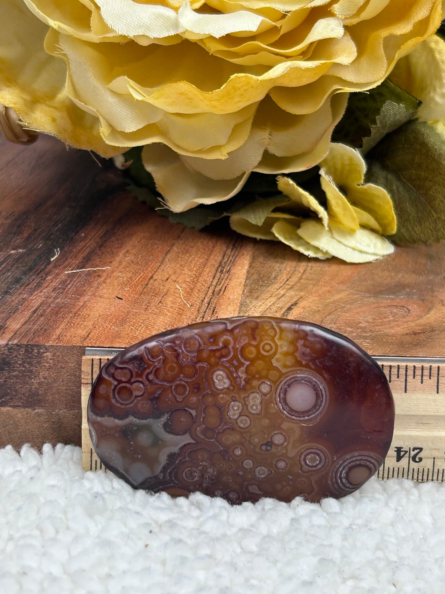 Gobi Agate Palm Stone
