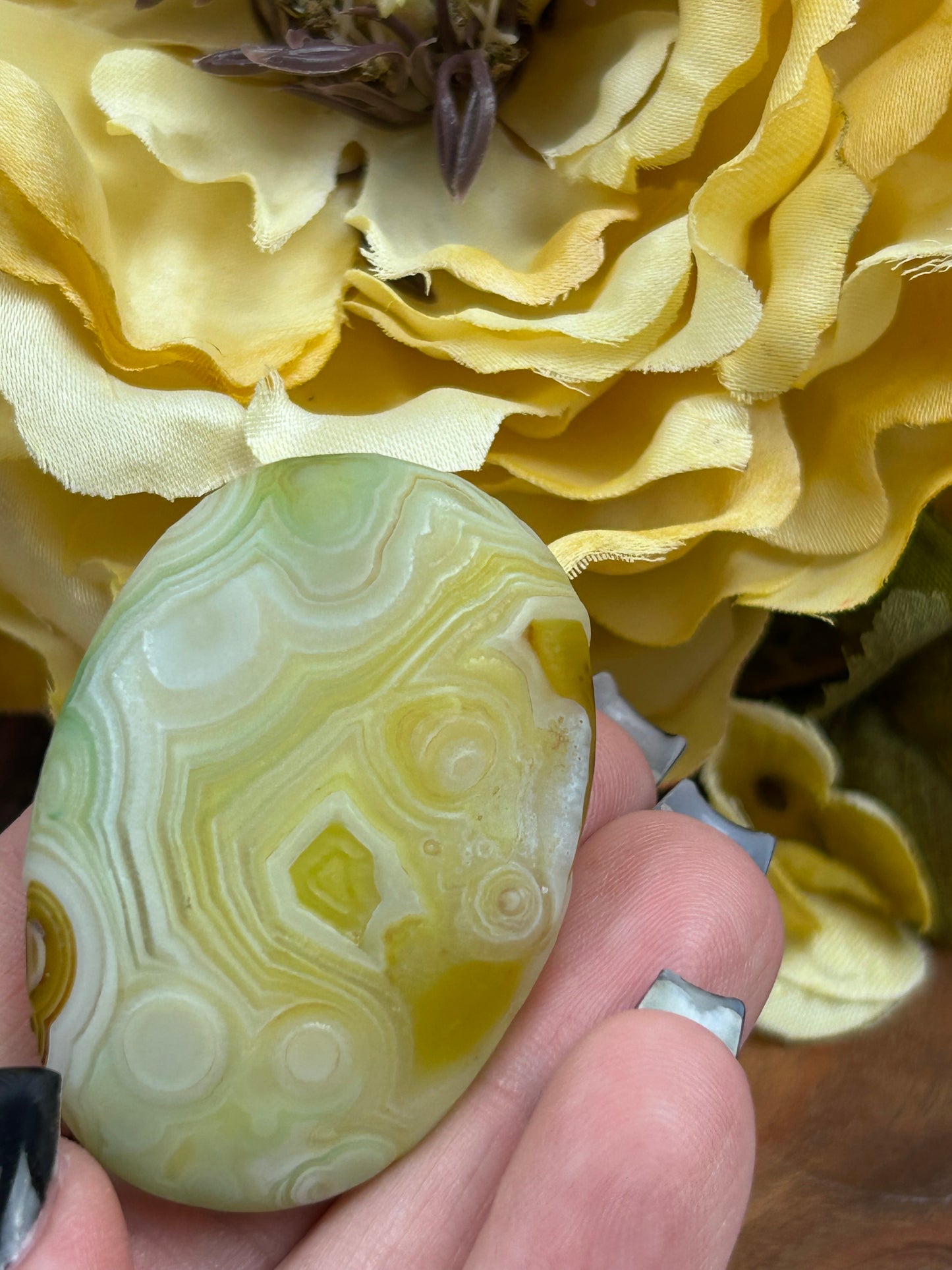 Gobi Agate Palm Stone