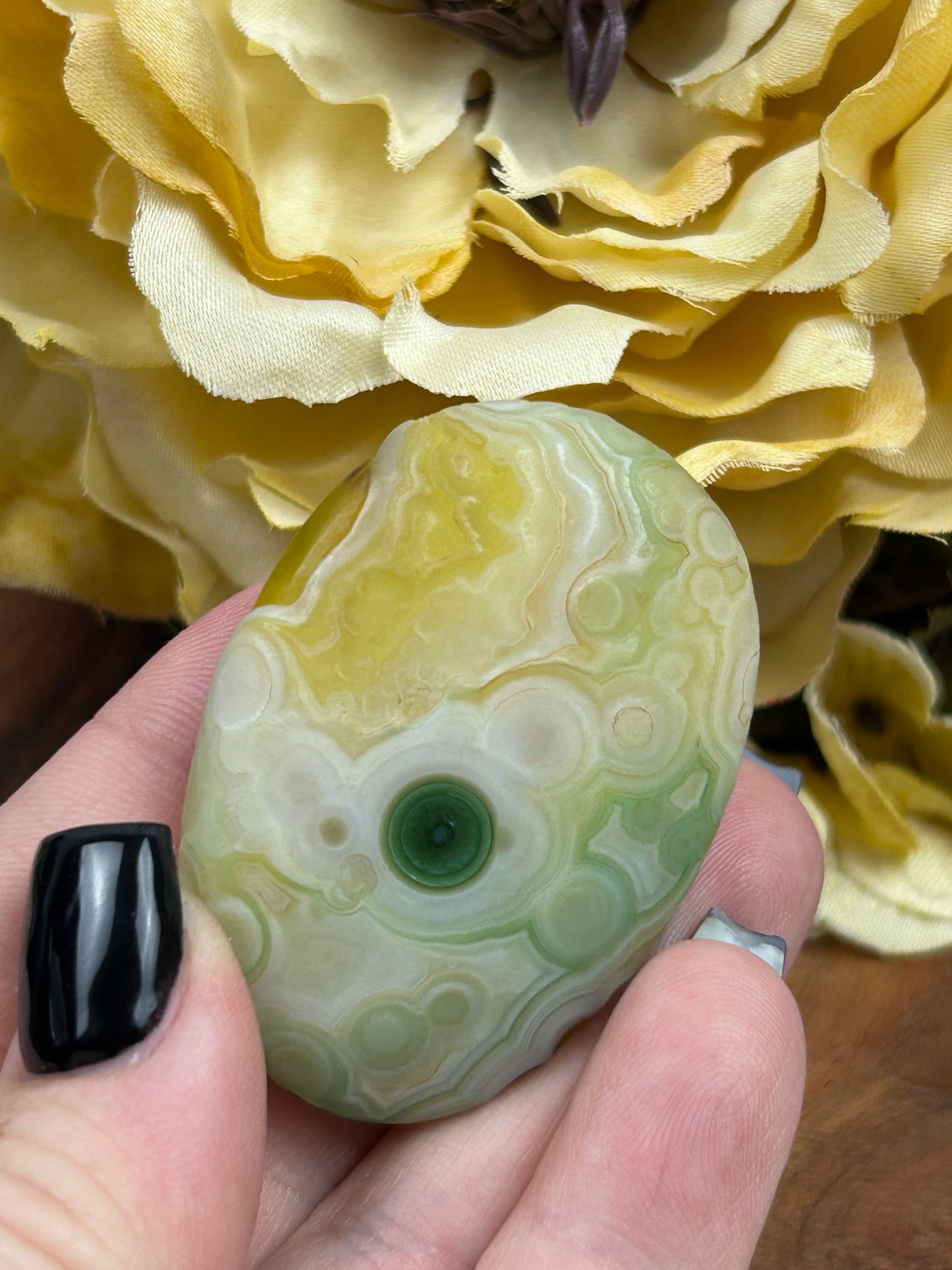 Gobi Agate Palm Stone