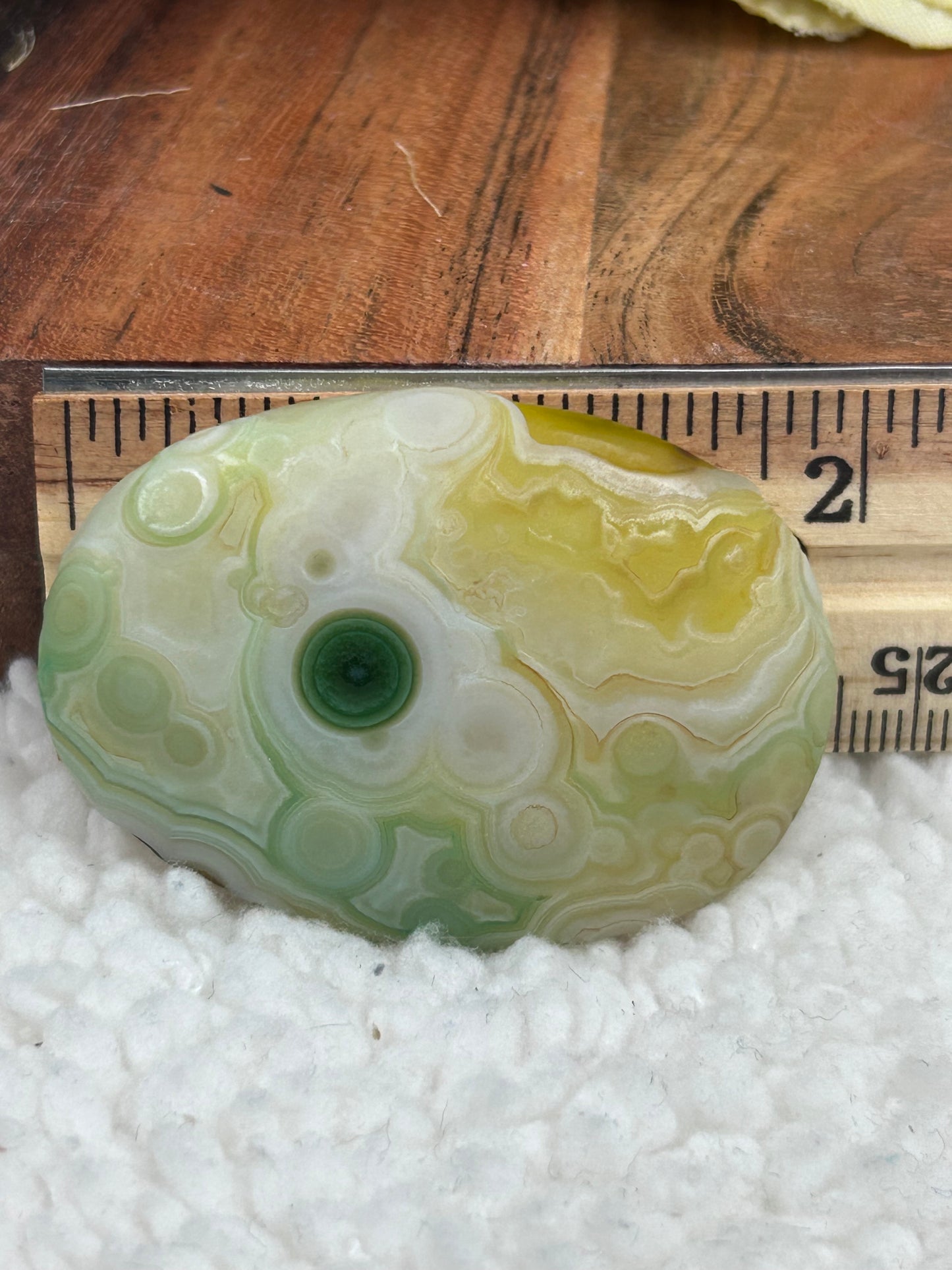 Gobi Agate Palm Stone